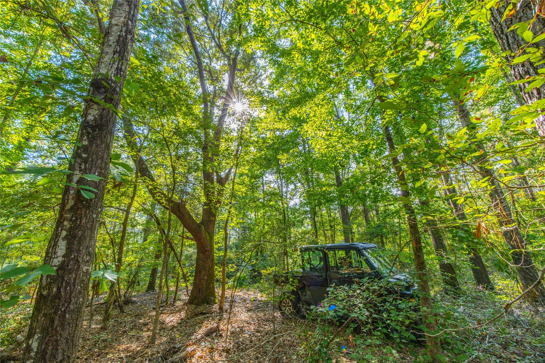 Unimproved Land For Sale in Henderson County , Tract 7 County Road 4221, Frankston, Texas 75763, 0, 0, Garage spaces, 0 Sqft, built in 0, Price $939,236, mls#20707649, Real Estate Agent in Frankston, Homes For Sale in Henderson county, Homes For Sale in Frankston, Realtor in Frankston Texas, Real Estate Brokerage Independent Realty Texas, Luminita Cordes Realtor
