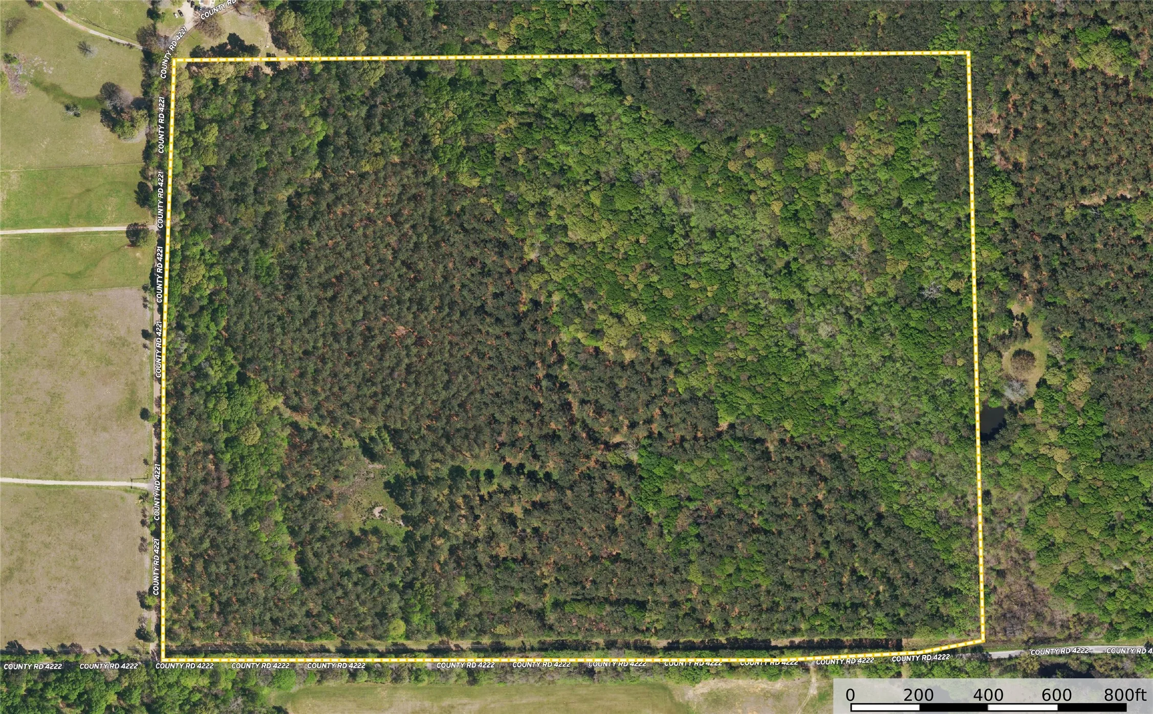 Unimproved Land For Sale in Henderson County , Tract 7 County Road 4221, Frankston, Texas 75763, 0, 0, Garage spaces, 0 Sqft, built in 0, Price $939,236, mls#20707649, Real Estate Agent in Frankston, Homes For Sale in Henderson county, Homes For Sale in Frankston, Realtor in Frankston Texas, Real Estate Brokerage Independent Realty Texas, Luminita Cordes Realtor