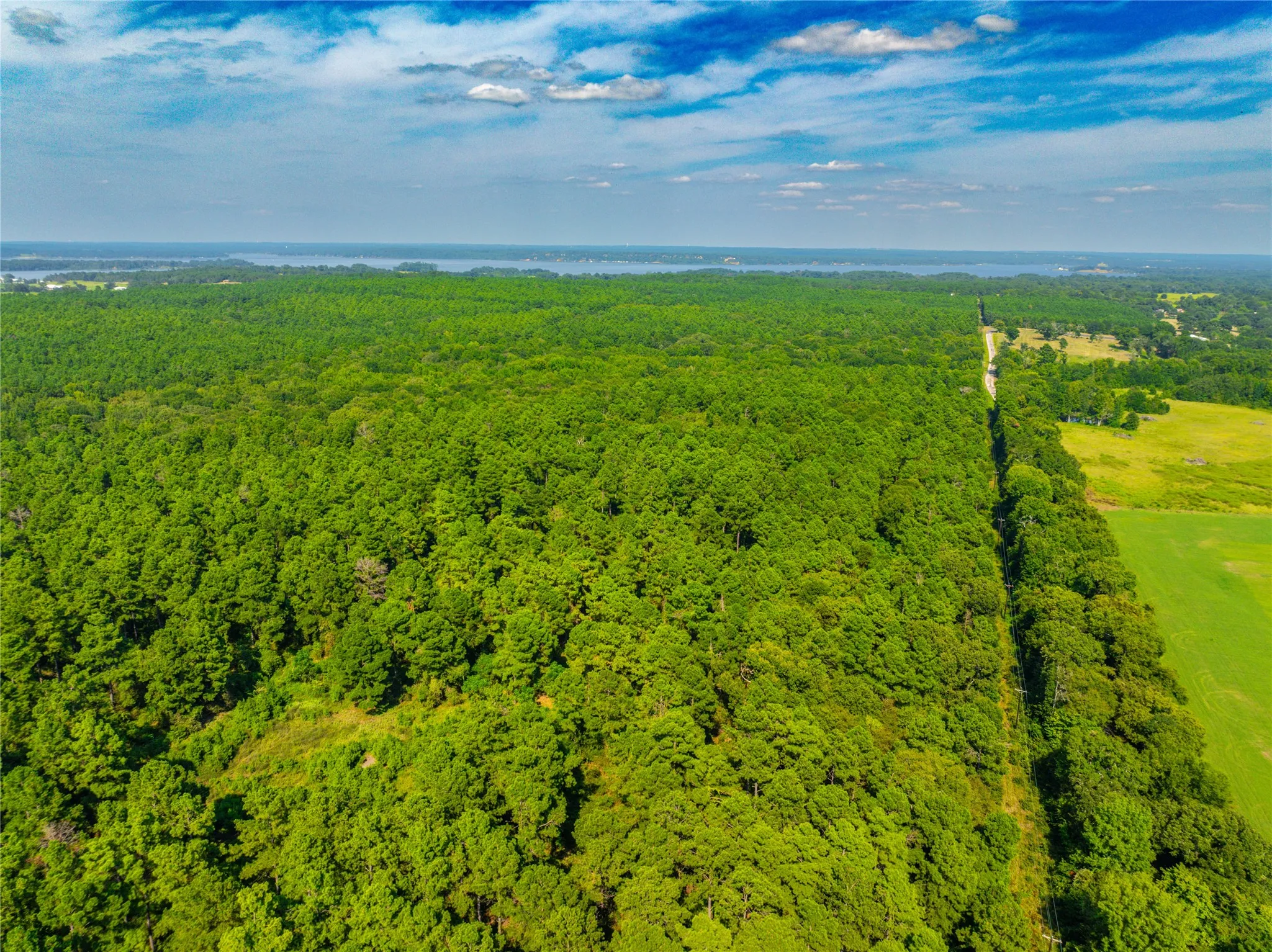Unimproved Land For Sale in Henderson County , Tract 7 County Road 4221, Frankston, Texas 75763, 0, 0, Garage spaces, 0 Sqft, built in 0, Price $939,236, mls#20707649, Real Estate Agent in Frankston, Homes For Sale in Henderson county, Homes For Sale in Frankston, Realtor in Frankston Texas, Real Estate Brokerage Independent Realty Texas, Luminita Cordes Realtor