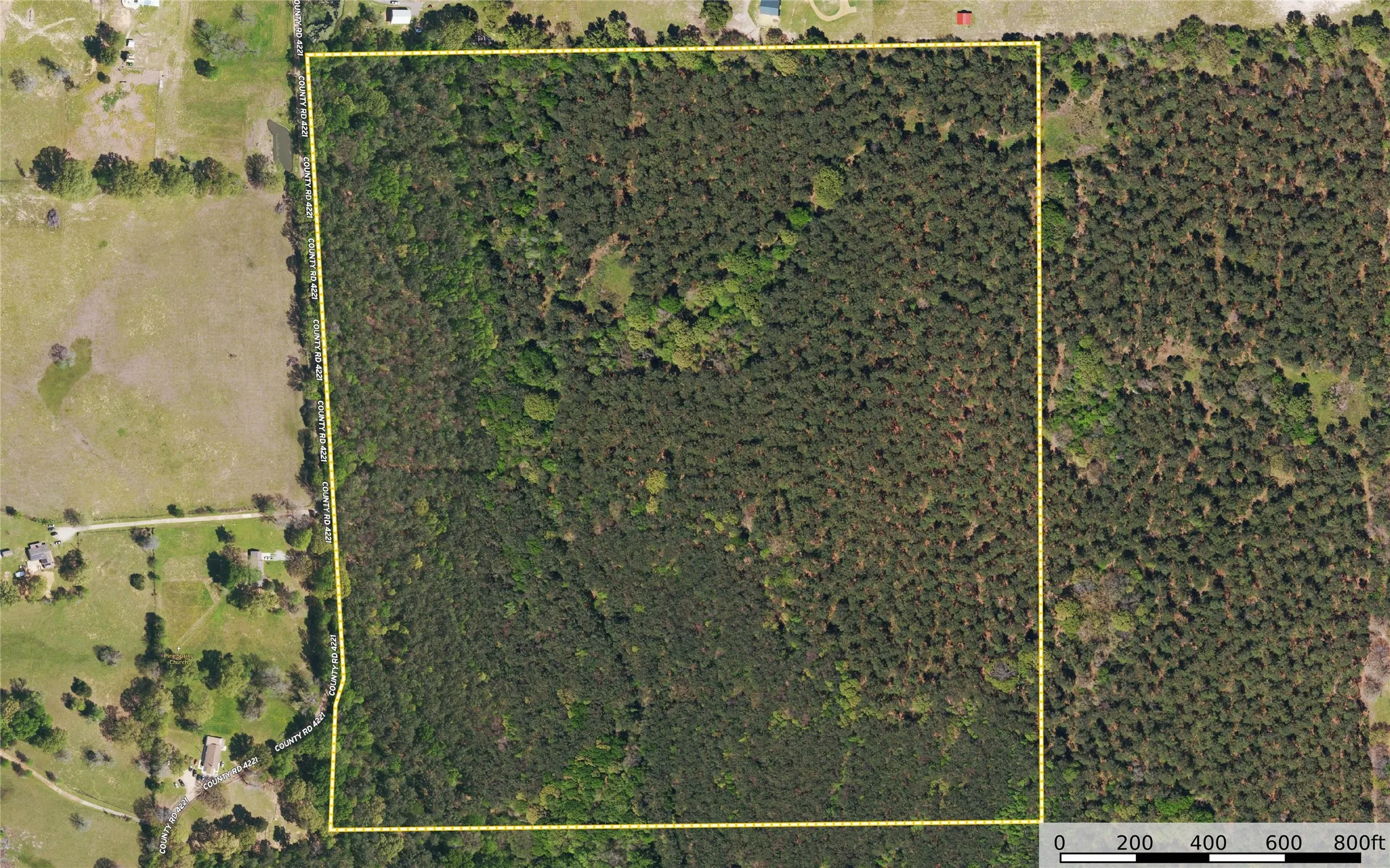 Unimproved Land For Sale in Henderson County , Tract 8 County Road 4221 Tract 8 CR 4221, Frankston, Texas 75763, 0, 0, Garage spaces, 0 Sqft, built in 0, Price $918,979, mls#20707763, Real Estate Agent in Frankston, Homes For Sale in Henderson county, Homes For Sale in Frankston, Realtor in Frankston Texas, Real Estate Brokerage Independent Realty Texas, Luminita Cordes Realtor