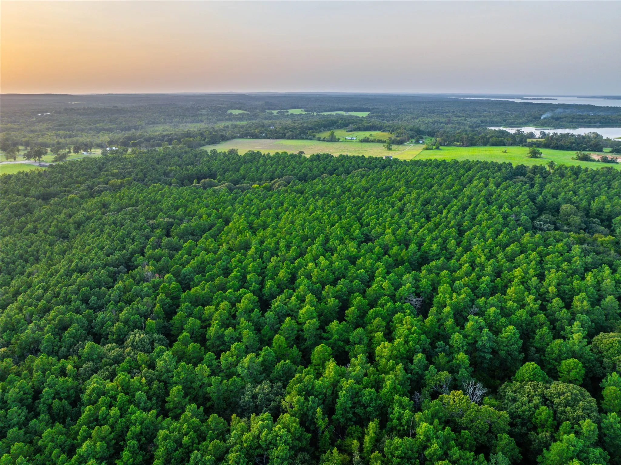 Unimproved Land For Sale in Henderson County , Tract 8 County Road 4221 Tract 8 CR 4221, Frankston, Texas 75763, 0, 0, Garage spaces, 0 Sqft, built in 0, Price $918,979, mls#20707763, Real Estate Agent in Frankston, Homes For Sale in Henderson county, Homes For Sale in Frankston, Realtor in Frankston Texas, Real Estate Brokerage Independent Realty Texas, Luminita Cordes Realtor