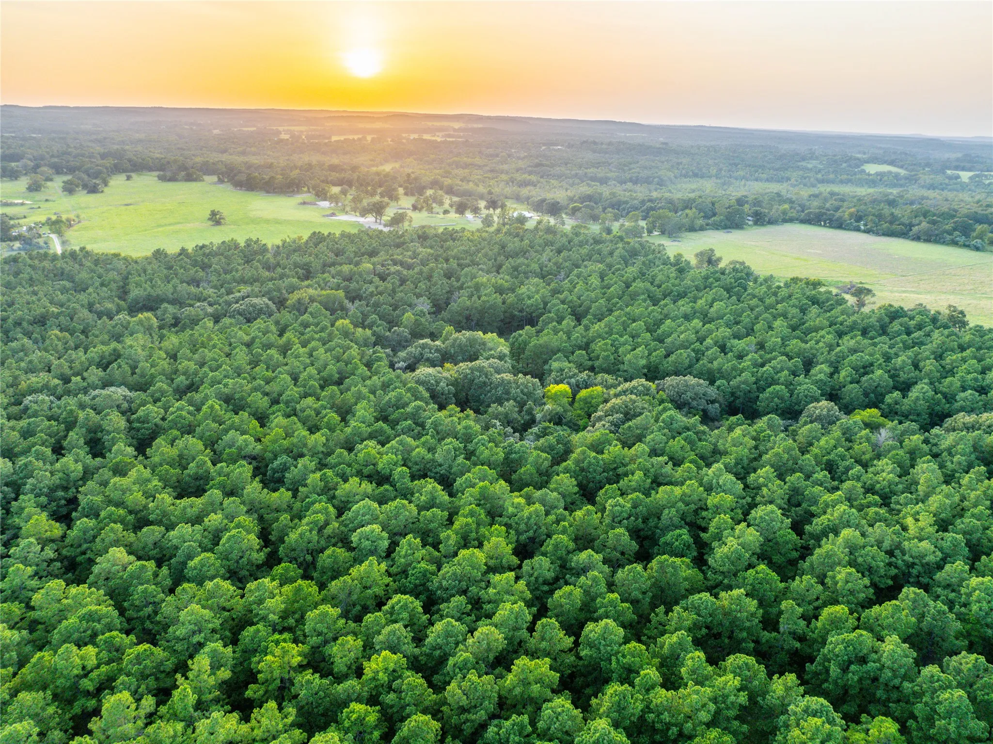 Unimproved Land For Sale in Henderson County , Tract 8 County Road 4221 Tract 8 CR 4221, Frankston, Texas 75763, 0, 0, Garage spaces, 0 Sqft, built in 0, Price $918,979, mls#20707763, Real Estate Agent in Frankston, Homes For Sale in Henderson county, Homes For Sale in Frankston, Realtor in Frankston Texas, Real Estate Brokerage Independent Realty Texas, Luminita Cordes Realtor