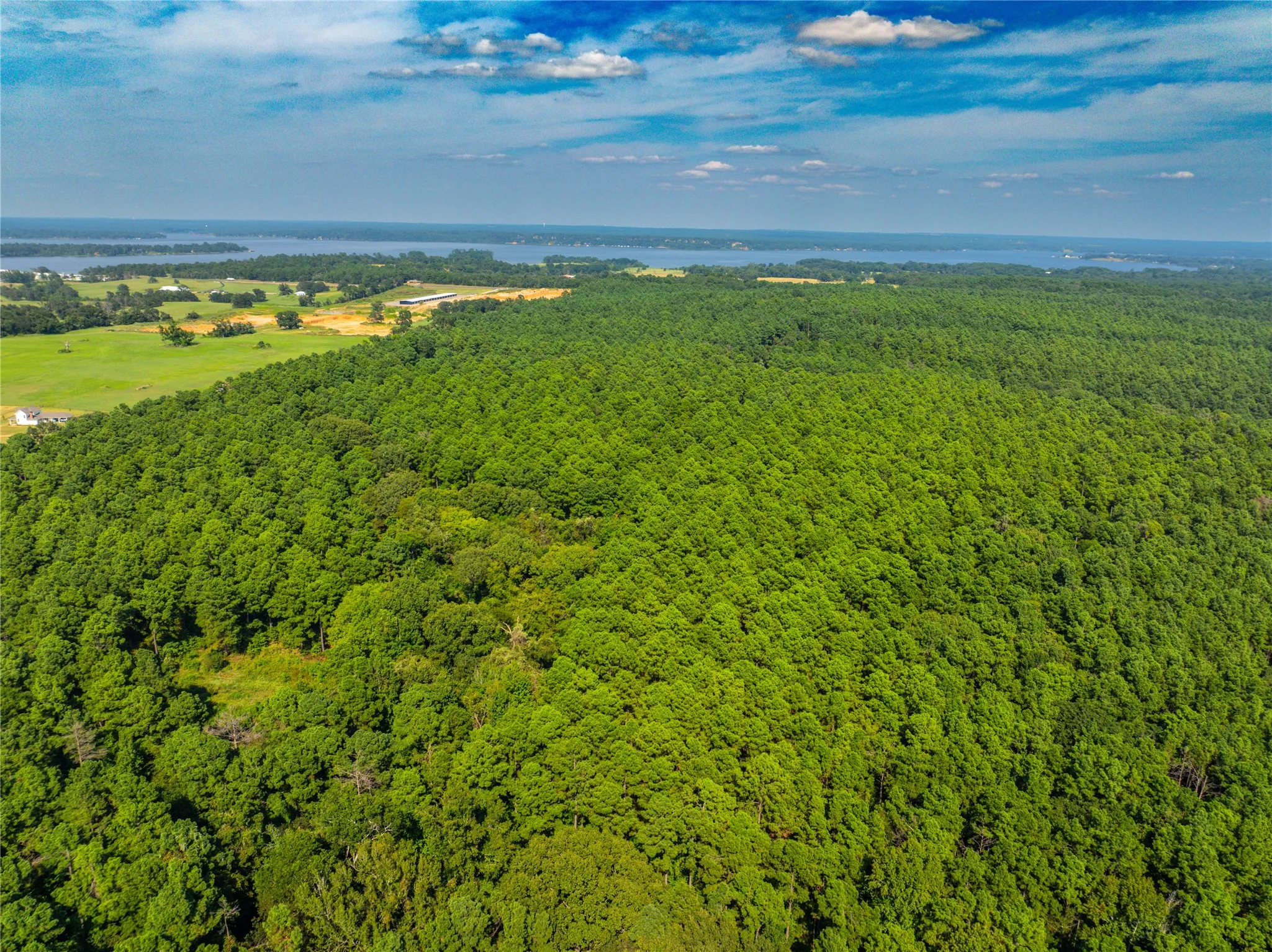 Unimproved Land For Sale in Henderson County , Tract 8 County Road 4221 Tract 8 CR 4221, Frankston, Texas 75763, 0, 0, Garage spaces, 0 Sqft, built in 0, Price $918,979, mls#20707763, Real Estate Agent in Frankston, Homes For Sale in Henderson county, Homes For Sale in Frankston, Realtor in Frankston Texas, Real Estate Brokerage Independent Realty Texas, Luminita Cordes Realtor