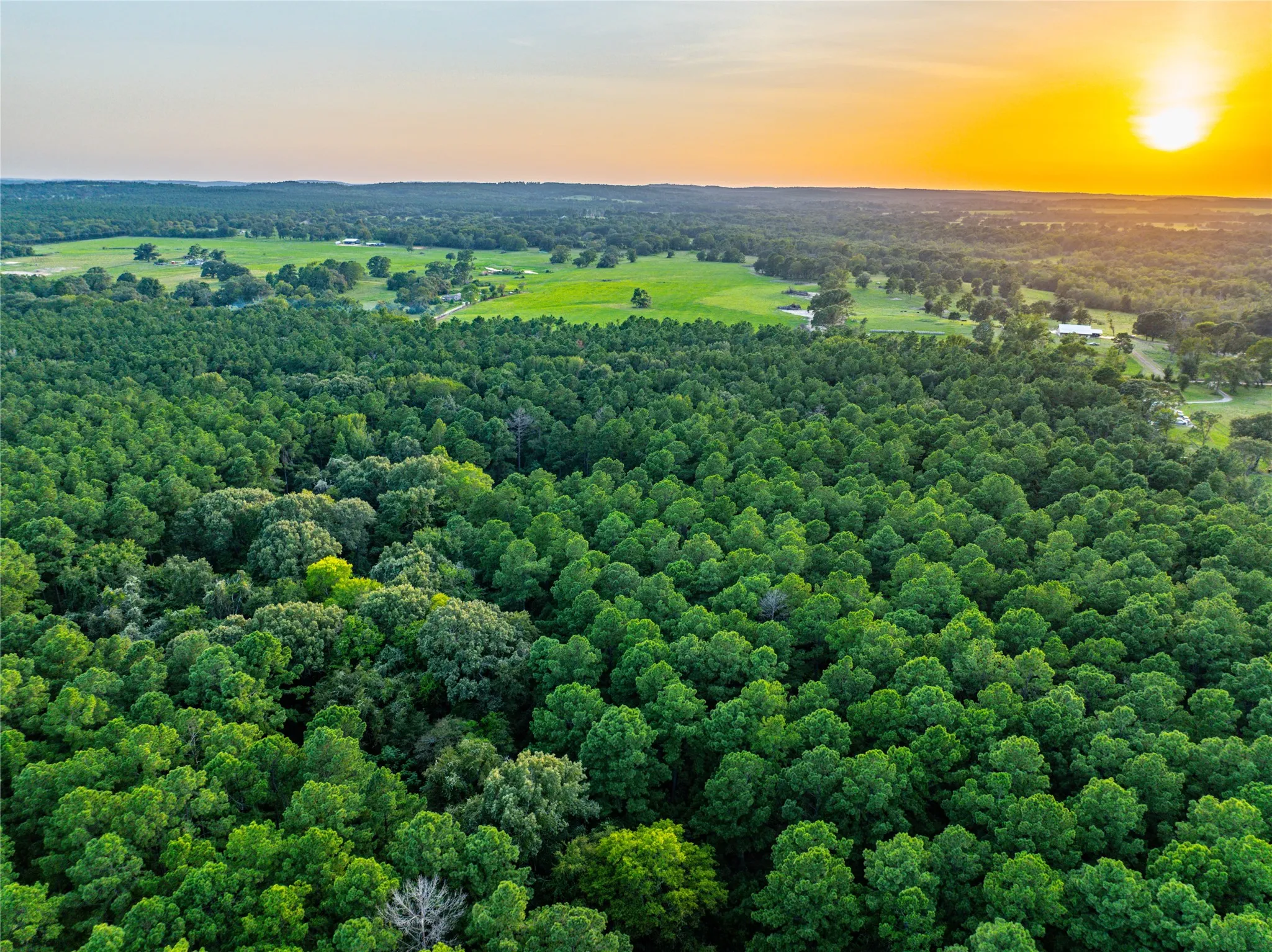 Unimproved Land For Sale in Henderson County , Tract 8 County Road 4221 Tract 8 CR 4221, Frankston, Texas 75763, 0, 0, Garage spaces, 0 Sqft, built in 0, Price $918,979, mls#20707763, Real Estate Agent in Frankston, Homes For Sale in Henderson county, Homes For Sale in Frankston, Realtor in Frankston Texas, Real Estate Brokerage Independent Realty Texas, Luminita Cordes Realtor