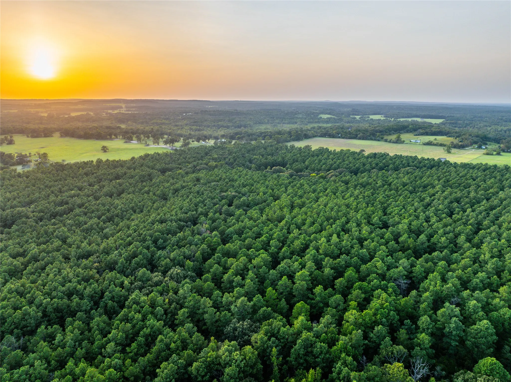 Unimproved Land For Sale in Henderson County , Tract 8 County Road 4221 Tract 8 CR 4221, Frankston, Texas 75763, 0, 0, Garage spaces, 0 Sqft, built in 0, Price $918,979, mls#20707763, Real Estate Agent in Frankston, Homes For Sale in Henderson county, Homes For Sale in Frankston, Realtor in Frankston Texas, Real Estate Brokerage Independent Realty Texas, Luminita Cordes Realtor