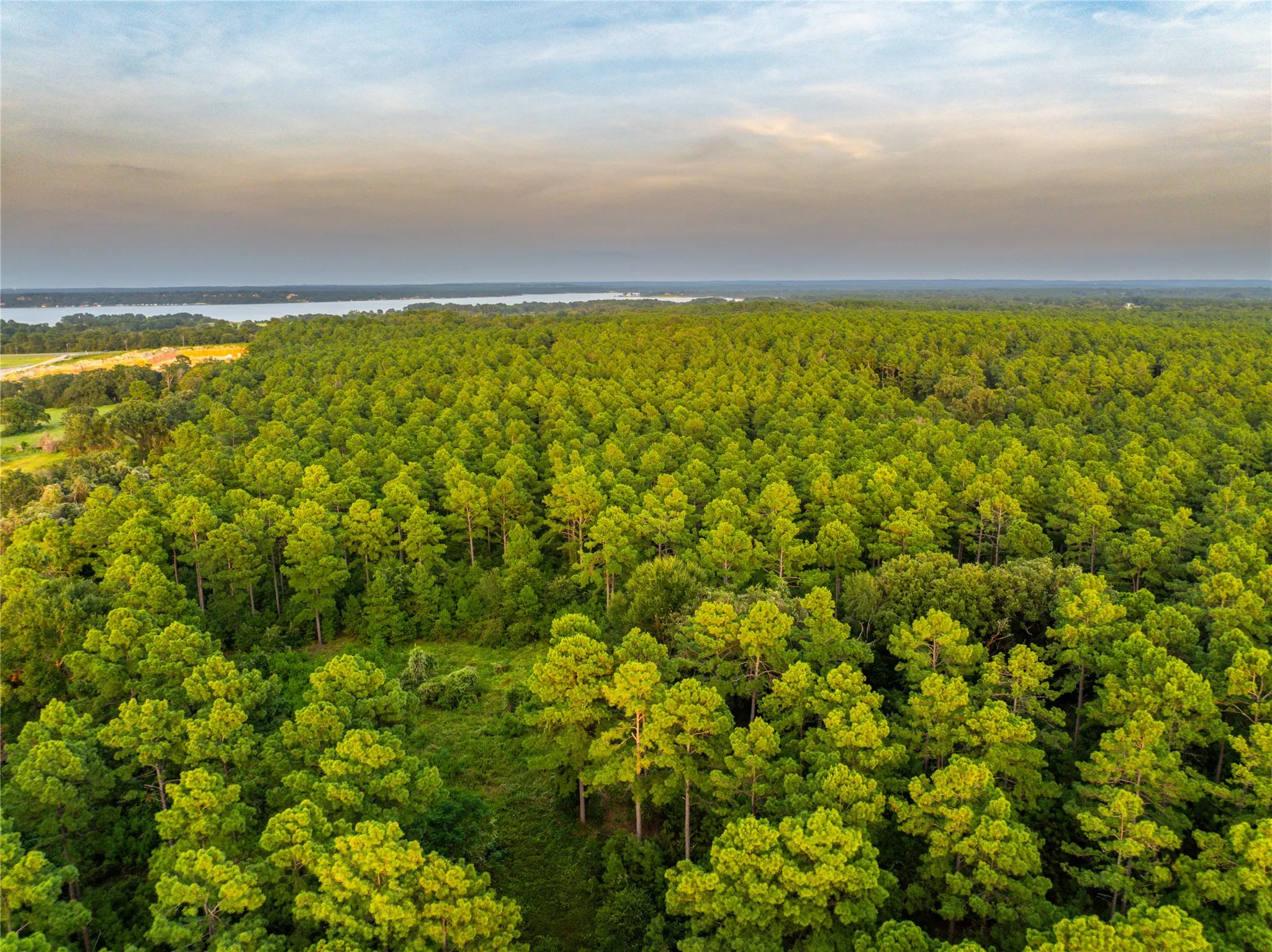 Unimproved Land For Sale in Henderson County , Tract 8 County Road 4221 Tract 8 CR 4221, Frankston, Texas 75763, 0, 0, Garage spaces, 0 Sqft, built in 0, Price $918,979, mls#20707763, Real Estate Agent in Frankston, Homes For Sale in Henderson county, Homes For Sale in Frankston, Realtor in Frankston Texas, Real Estate Brokerage Independent Realty Texas, Luminita Cordes Realtor