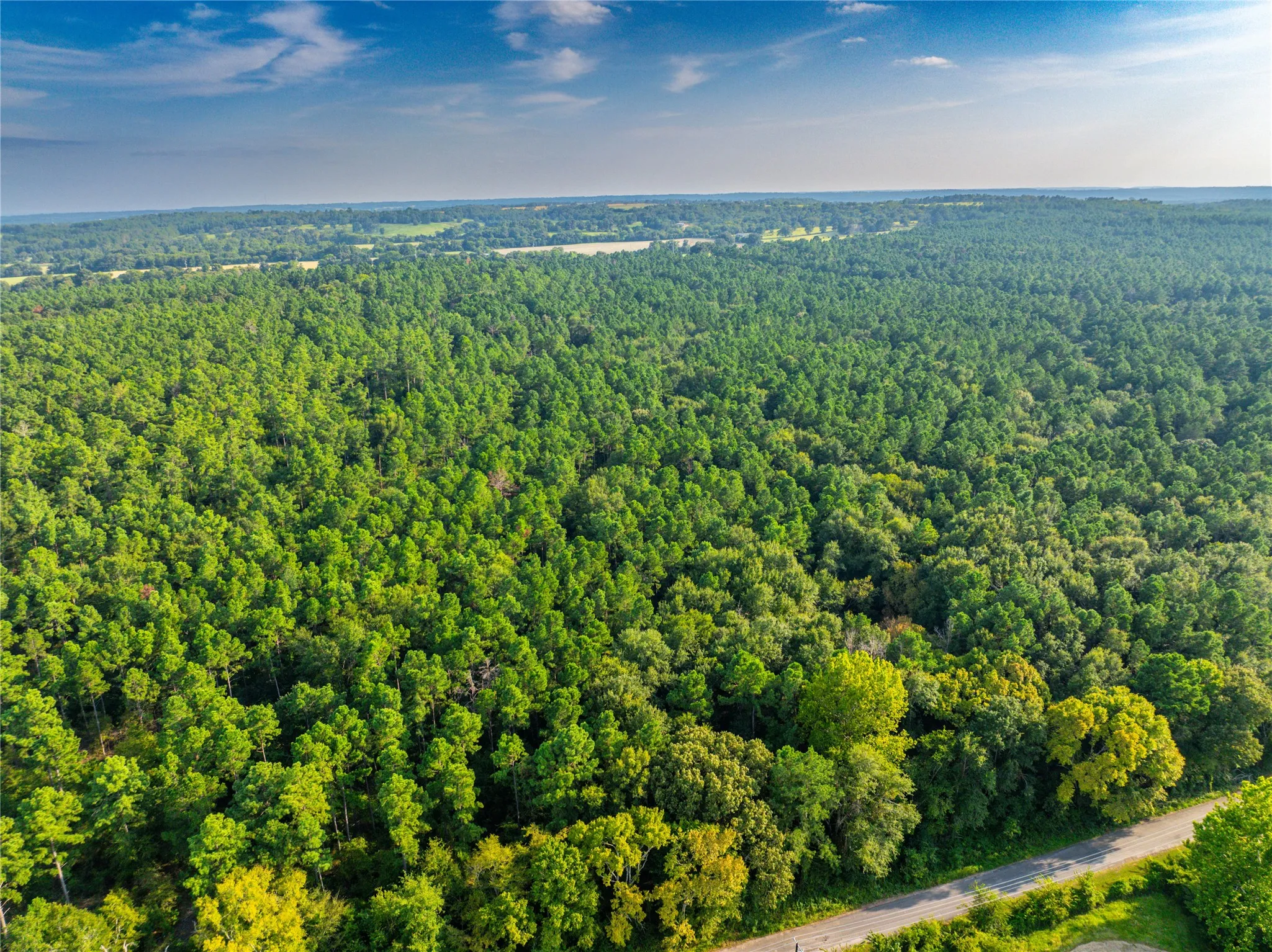 Unimproved Land For Sale in Henderson County , Tract 10 County Road 4222, Frankston, Texas 75763, 0, 0, Garage spaces, 0 Sqft, built in 0, Price $939,236, mls#20707829, Real Estate Agent in Frankston, Homes For Sale in Henderson county, Homes For Sale in Frankston, Realtor in Frankston Texas, Real Estate Brokerage Independent Realty Texas, Luminita Cordes Realtor