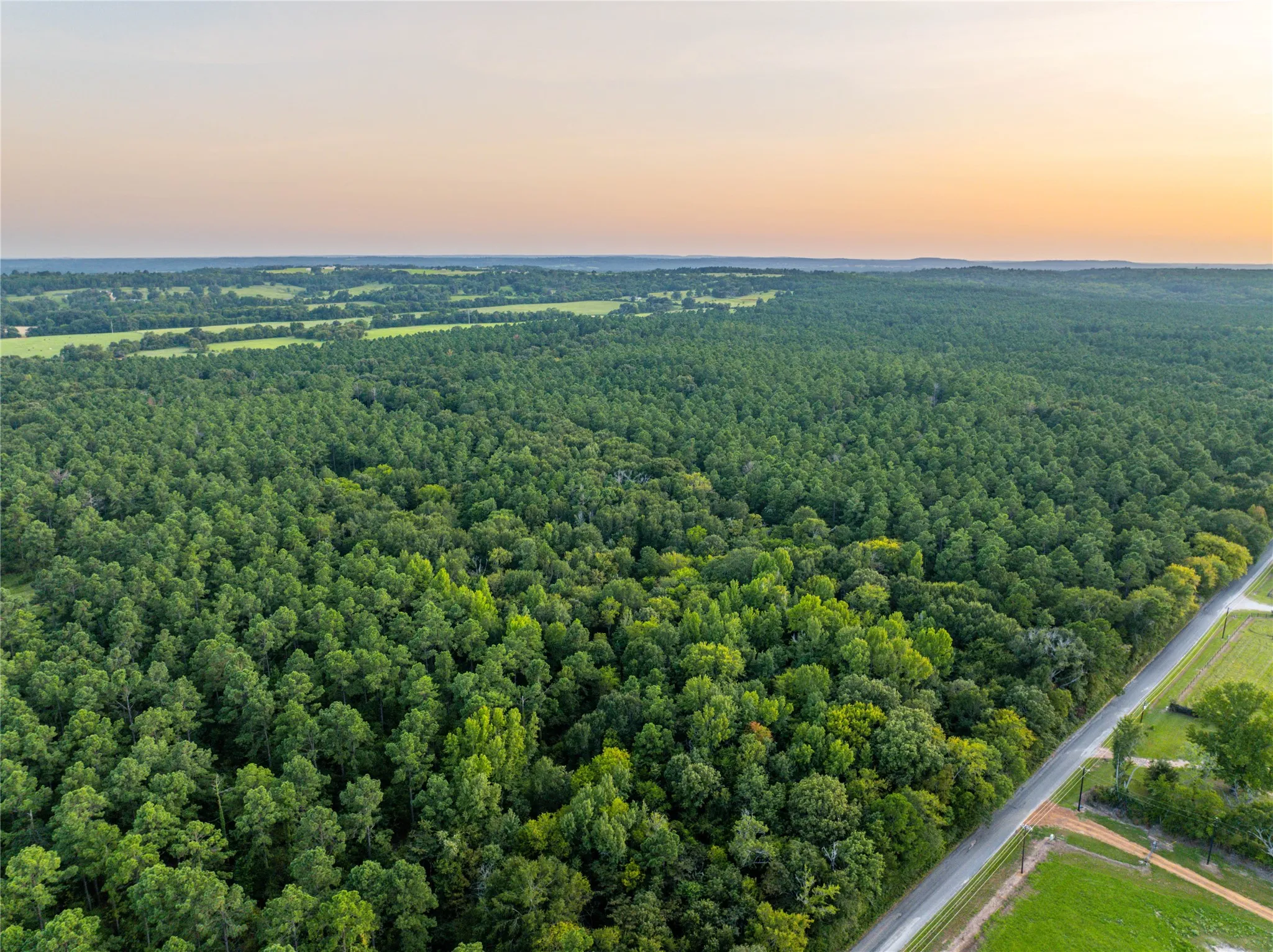 Unimproved Land For Sale in Henderson County , Tract 10 County Road 4222, Frankston, Texas 75763, 0, 0, Garage spaces, 0 Sqft, built in 0, Price $939,236, mls#20707829, Real Estate Agent in Frankston, Homes For Sale in Henderson county, Homes For Sale in Frankston, Realtor in Frankston Texas, Real Estate Brokerage Independent Realty Texas, Luminita Cordes Realtor