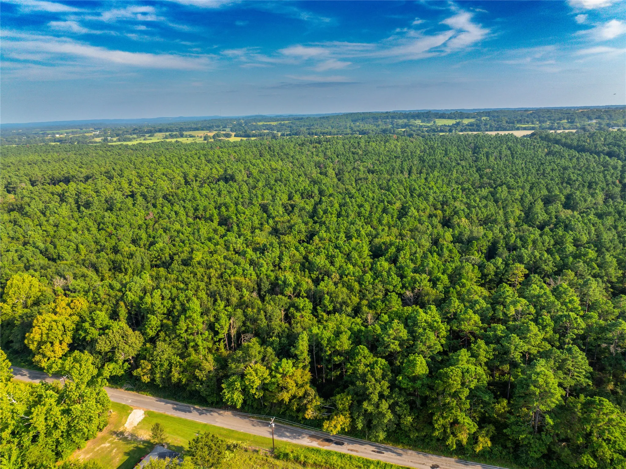 Unimproved Land For Sale in Henderson County , Tract 10 County Road 4222, Frankston, Texas 75763, 0, 0, Garage spaces, 0 Sqft, built in 0, Price $939,236, mls#20707829, Real Estate Agent in Frankston, Homes For Sale in Henderson county, Homes For Sale in Frankston, Realtor in Frankston Texas, Real Estate Brokerage Independent Realty Texas, Luminita Cordes Realtor