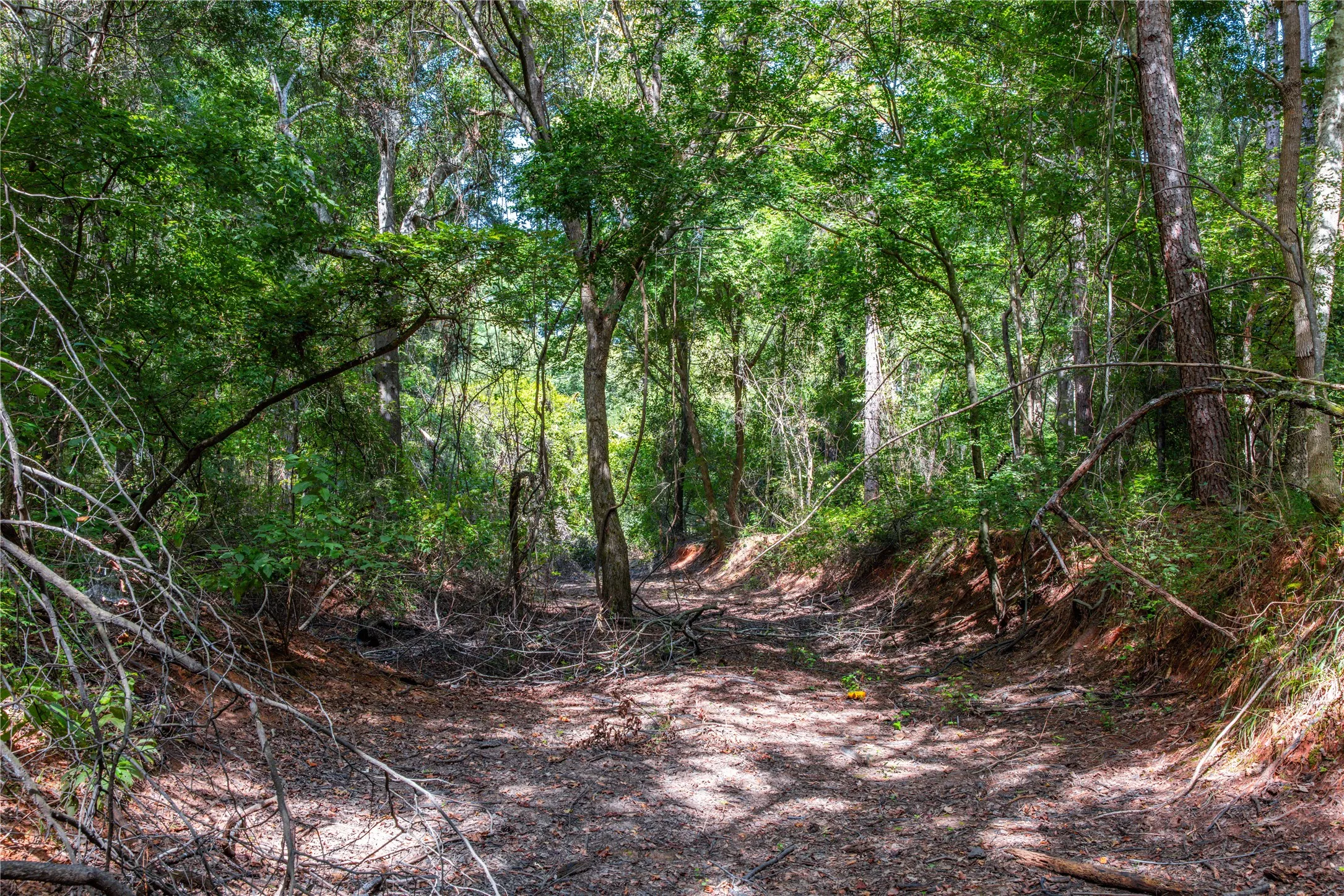 Unimproved Land For Sale in Henderson County , Tract 10 County Road 4222, Frankston, Texas 75763, 0, 0, Garage spaces, 0 Sqft, built in 0, Price $939,236, mls#20707829, Real Estate Agent in Frankston, Homes For Sale in Henderson county, Homes For Sale in Frankston, Realtor in Frankston Texas, Real Estate Brokerage Independent Realty Texas, Luminita Cordes Realtor