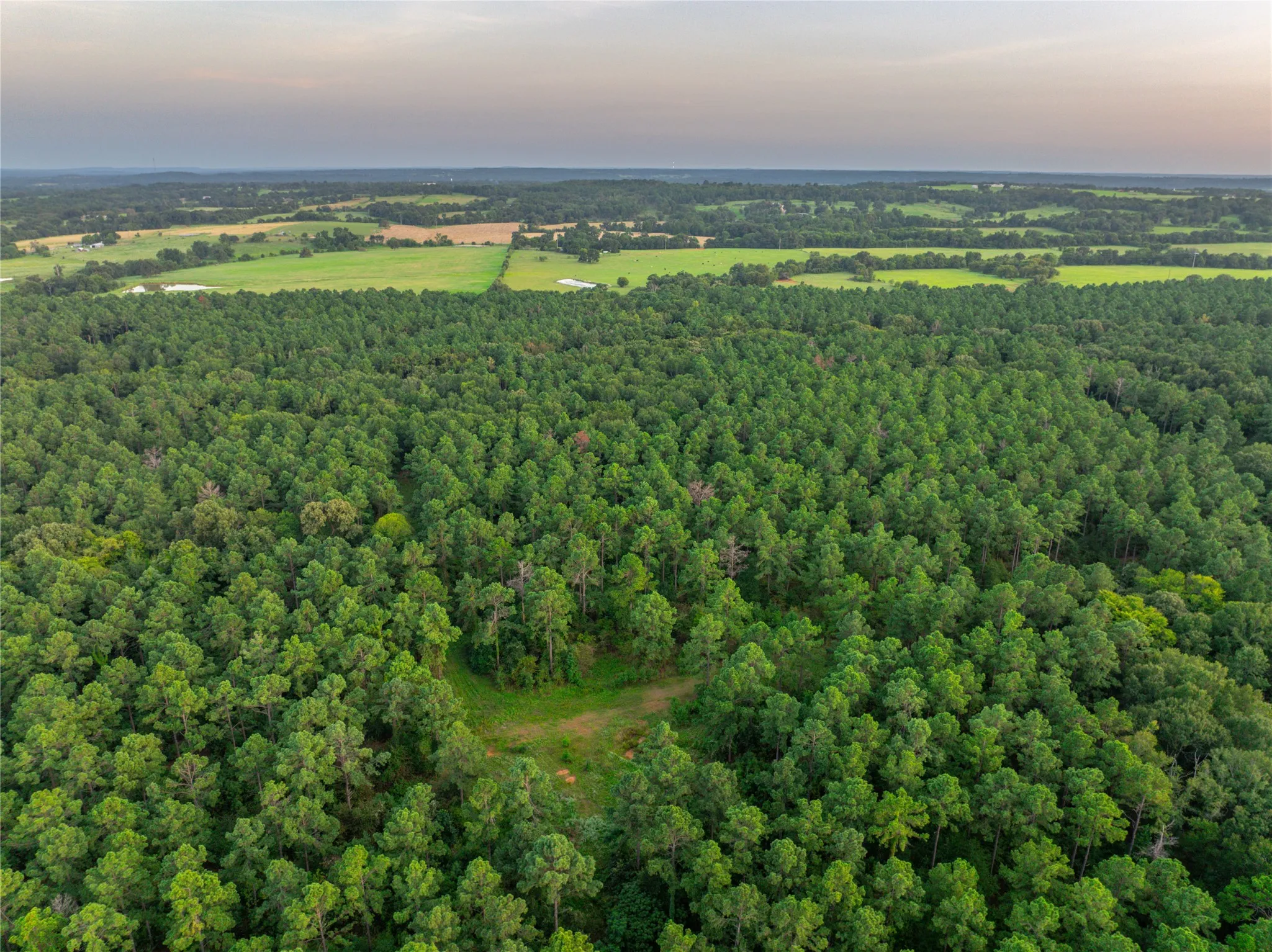 Unimproved Land For Sale in Henderson County , Tract 10 County Road 4222, Frankston, Texas 75763, 0, 0, Garage spaces, 0 Sqft, built in 0, Price $939,236, mls#20707829, Real Estate Agent in Frankston, Homes For Sale in Henderson county, Homes For Sale in Frankston, Realtor in Frankston Texas, Real Estate Brokerage Independent Realty Texas, Luminita Cordes Realtor