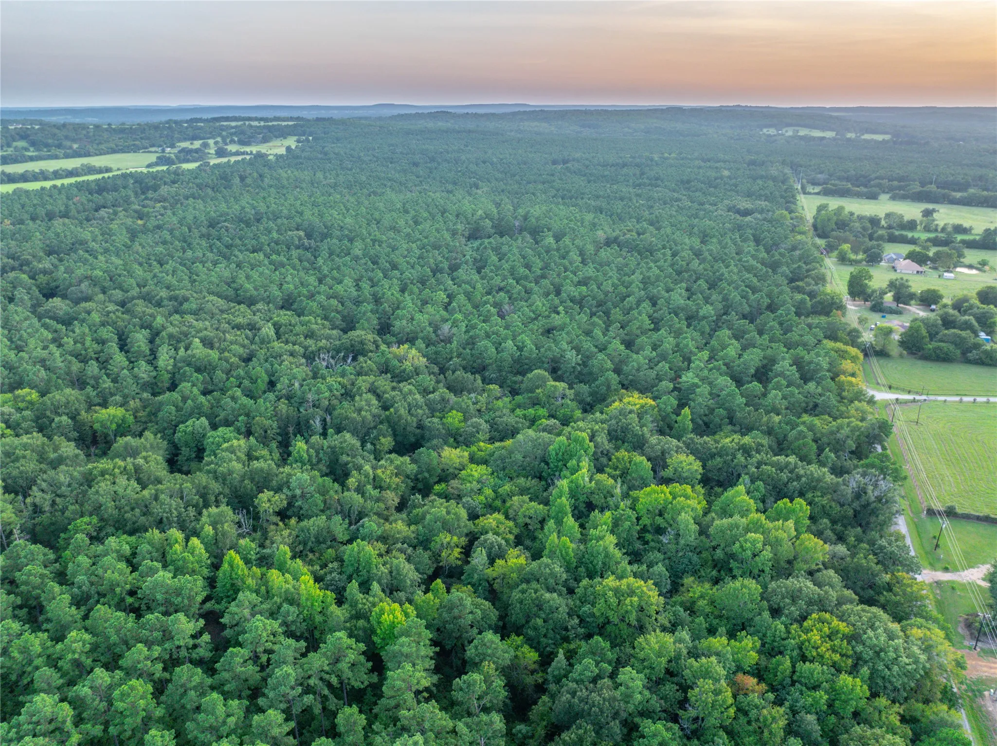 Unimproved Land For Sale in Henderson County , Tract 10 County Road 4222, Frankston, Texas 75763, 0, 0, Garage spaces, 0 Sqft, built in 0, Price $939,236, mls#20707829, Real Estate Agent in Frankston, Homes For Sale in Henderson county, Homes For Sale in Frankston, Realtor in Frankston Texas, Real Estate Brokerage Independent Realty Texas, Luminita Cordes Realtor
