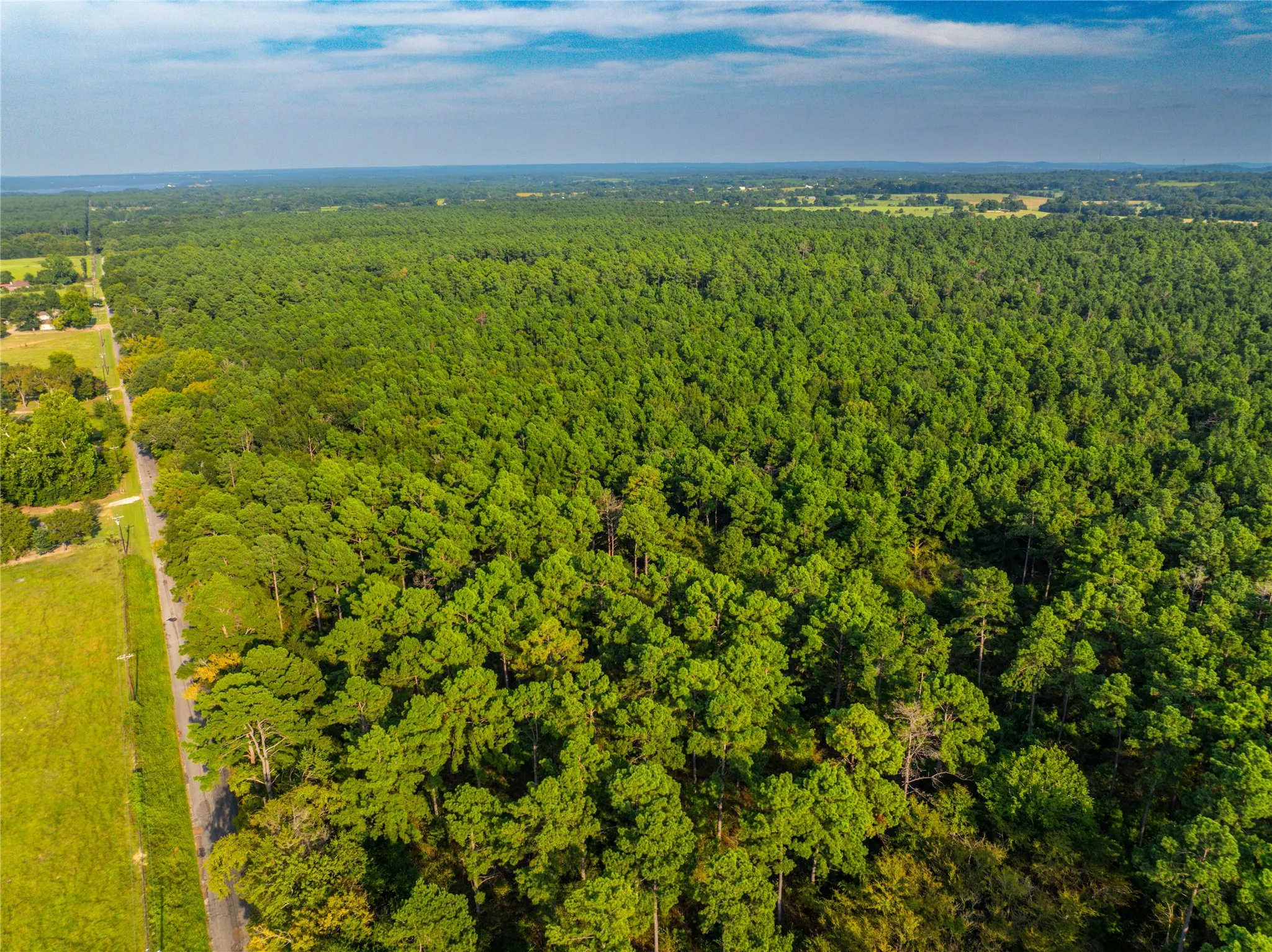 Unimproved Land For Sale in Henderson County , Tract 10 County Road 4222, Frankston, Texas 75763, 0, 0, Garage spaces, 0 Sqft, built in 0, Price $939,236, mls#20707829, Real Estate Agent in Frankston, Homes For Sale in Henderson county, Homes For Sale in Frankston, Realtor in Frankston Texas, Real Estate Brokerage Independent Realty Texas, Luminita Cordes Realtor