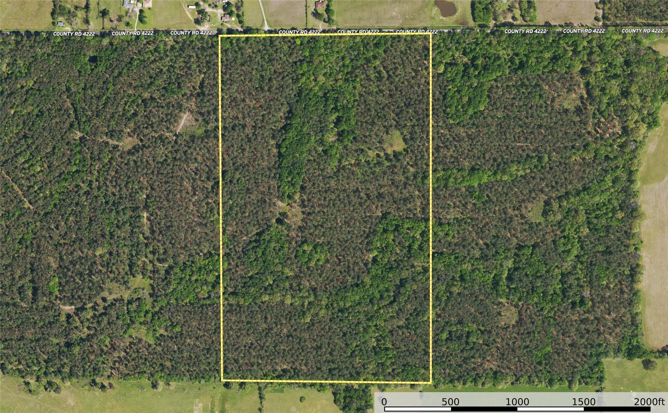 Unimproved Land For Sale in Henderson County , Tract 10 County Road 4222, Frankston, Texas 75763, 0, 0, Garage spaces, 0 Sqft, built in 0, Price $939,236, mls#20707829, Real Estate Agent in Frankston, Homes For Sale in Henderson county, Homes For Sale in Frankston, Realtor in Frankston Texas, Real Estate Brokerage Independent Realty Texas, Luminita Cordes Realtor