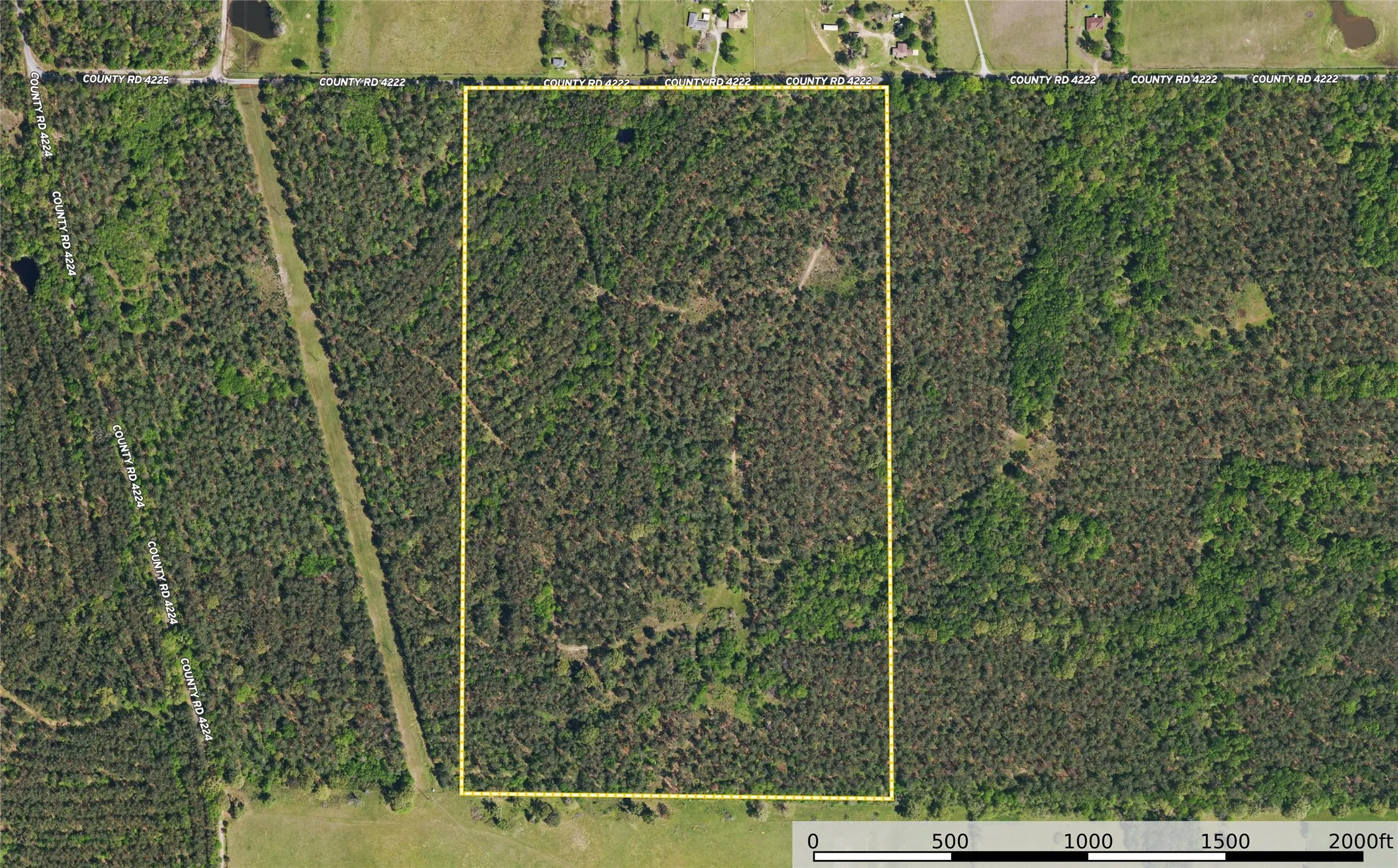 Unimproved Land For Sale in Henderson County , Tract 11 County Road 4222, Frankston, Texas 75763, 0, 0, Garage spaces, 0 Sqft, built in 0, Price $925,696, mls#20707851, Real Estate Agent in Frankston, Homes For Sale in Henderson county, Homes For Sale in Frankston, Realtor in Frankston Texas, Real Estate Brokerage Independent Realty Texas, Luminita Cordes Realtor