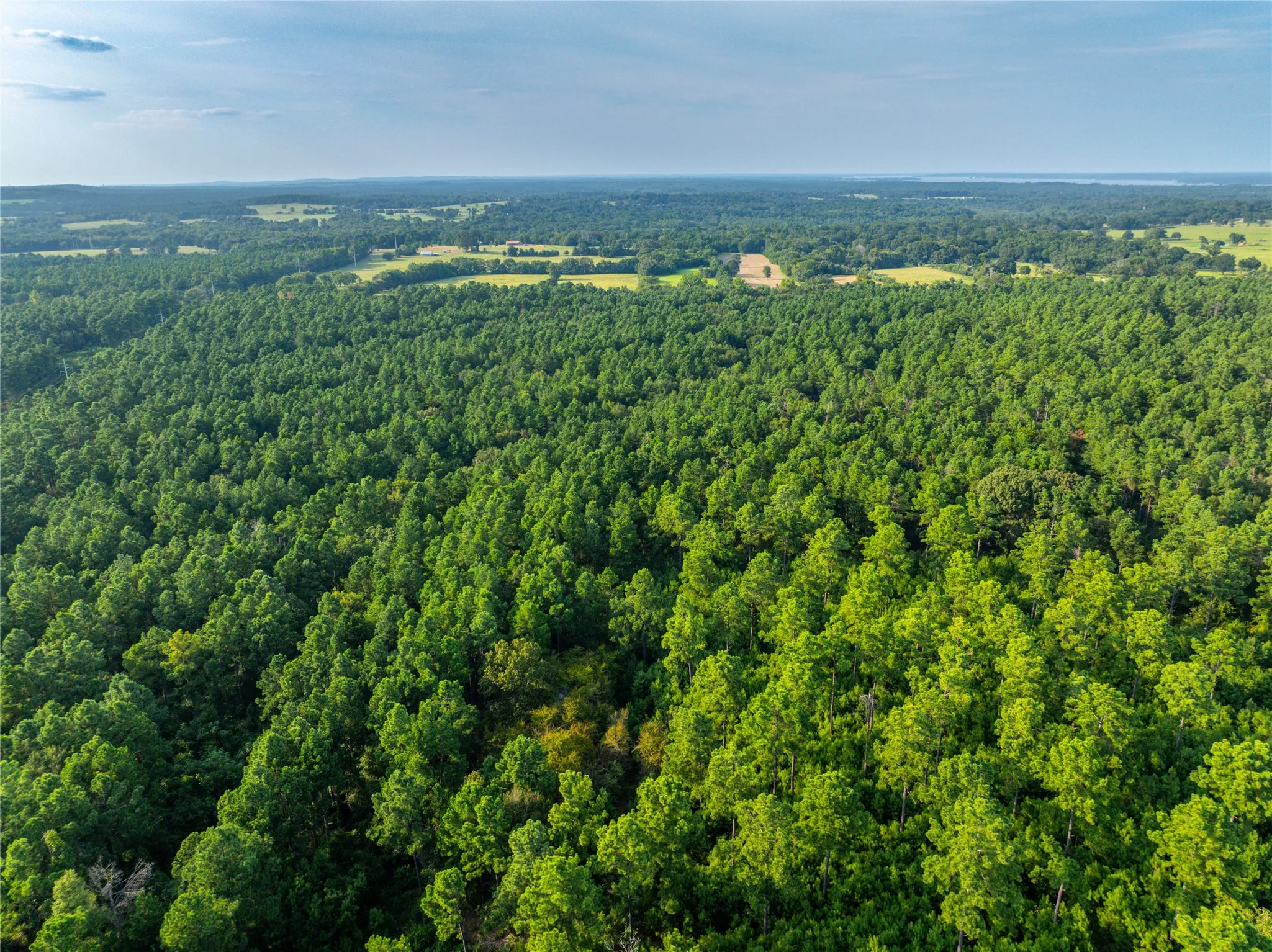 Unimproved Land For Sale in Henderson County , Tract 11 County Road 4222, Frankston, Texas 75763, 0, 0, Garage spaces, 0 Sqft, built in 0, Price $925,696, mls#20707851, Real Estate Agent in Frankston, Homes For Sale in Henderson county, Homes For Sale in Frankston, Realtor in Frankston Texas, Real Estate Brokerage Independent Realty Texas, Luminita Cordes Realtor