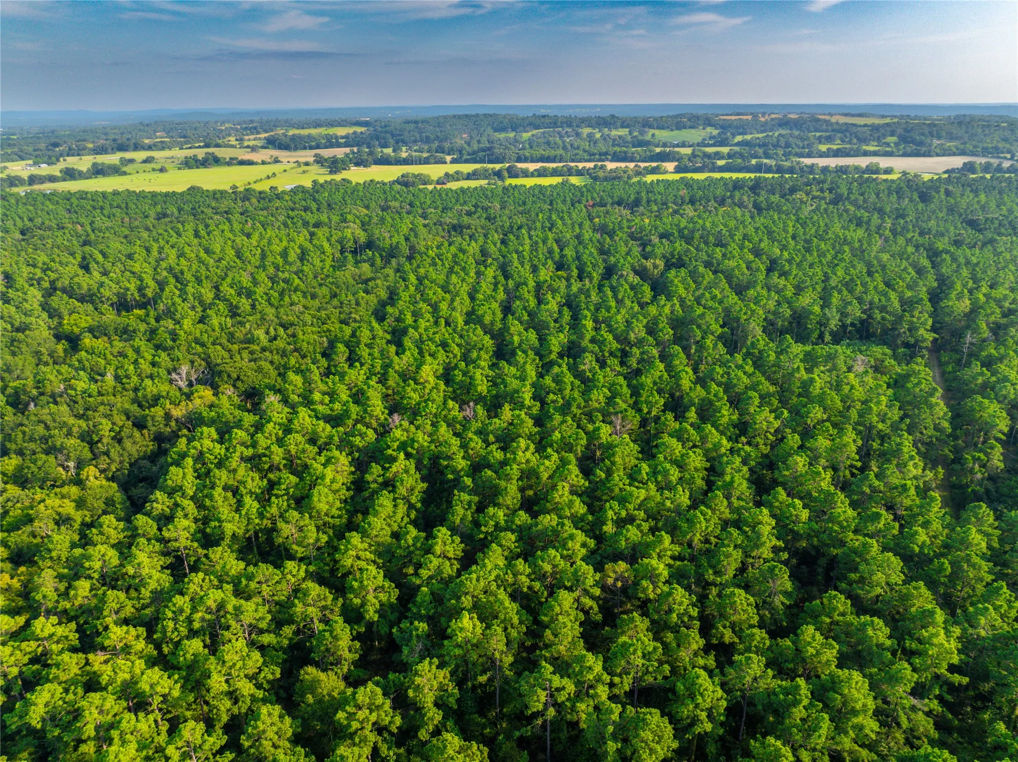 Unimproved Land For Sale in Henderson County , Tract 11 County Road 4222, Frankston, Texas 75763, 0, 0, Garage spaces, 0 Sqft, built in 0, Price $925,696, mls#20707851, Real Estate Agent in Frankston, Homes For Sale in Henderson county, Homes For Sale in Frankston, Realtor in Frankston Texas, Real Estate Brokerage Independent Realty Texas, Luminita Cordes Realtor