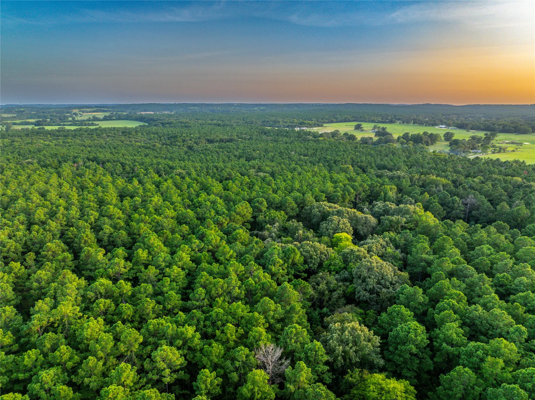 Unimproved Land For Sale in Henderson County , Tract 11 County Road 4222, Frankston, Texas 75763, 0, 0, Garage spaces, 0 Sqft, built in 0, Price $925,696, mls#20707851, Real Estate Agent in Frankston, Homes For Sale in Henderson county, Homes For Sale in Frankston, Realtor in Frankston Texas, Real Estate Brokerage Independent Realty Texas, Luminita Cordes Realtor
