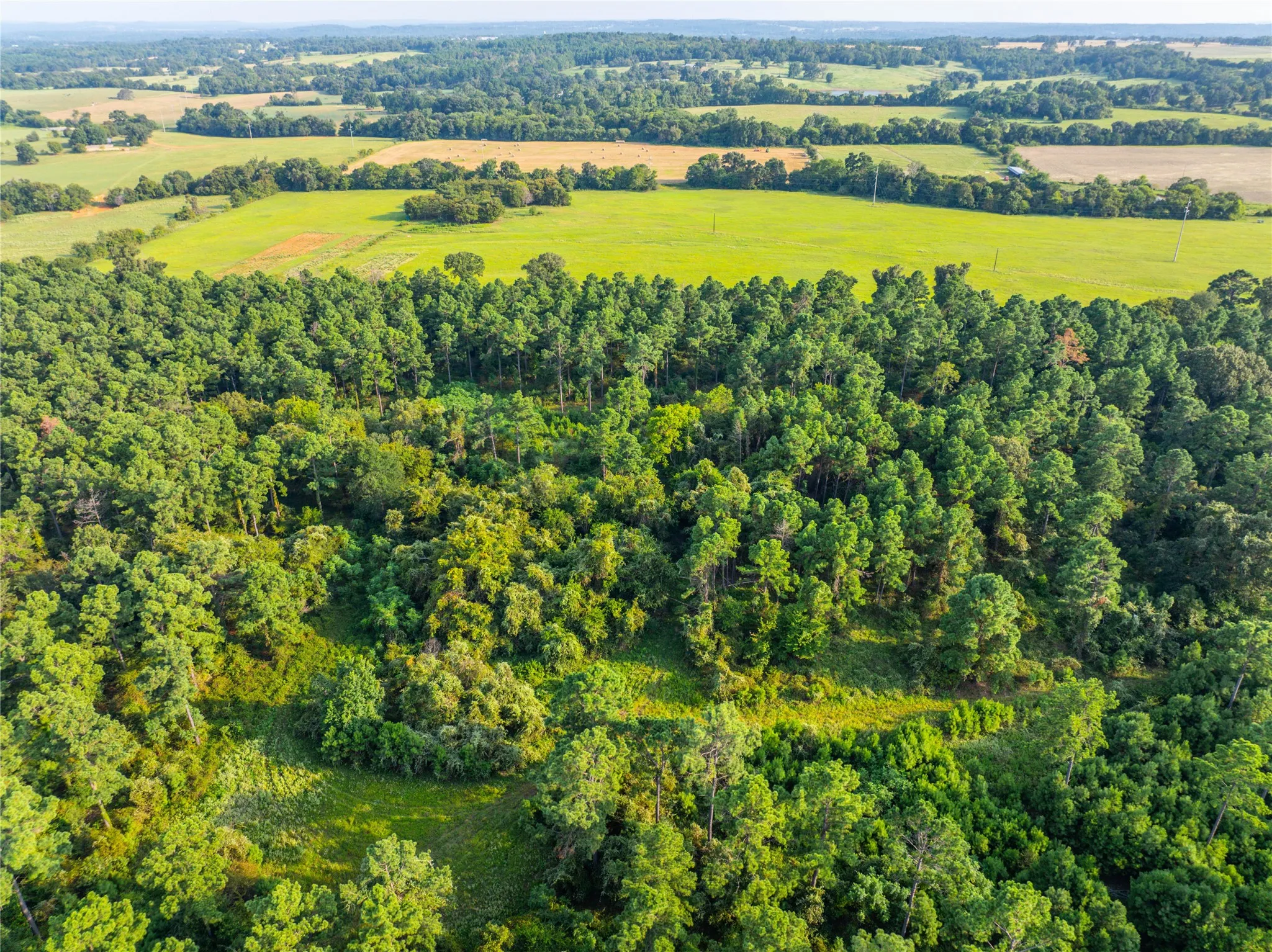 Unimproved Land For Sale in Henderson County , Tract 11 County Road 4222, Frankston, Texas 75763, 0, 0, Garage spaces, 0 Sqft, built in 0, Price $925,696, mls#20707851, Real Estate Agent in Frankston, Homes For Sale in Henderson county, Homes For Sale in Frankston, Realtor in Frankston Texas, Real Estate Brokerage Independent Realty Texas, Luminita Cordes Realtor