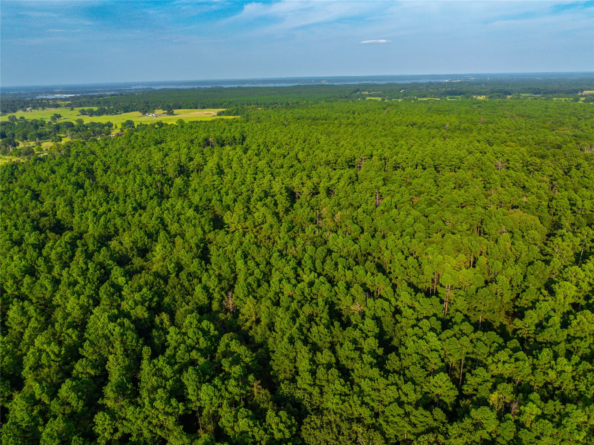 Unimproved Land For Sale in Henderson County , Tract 11 County Road 4222, Frankston, Texas 75763, 0, 0, Garage spaces, 0 Sqft, built in 0, Price $925,696, mls#20707851, Real Estate Agent in Frankston, Homes For Sale in Henderson county, Homes For Sale in Frankston, Realtor in Frankston Texas, Real Estate Brokerage Independent Realty Texas, Luminita Cordes Realtor