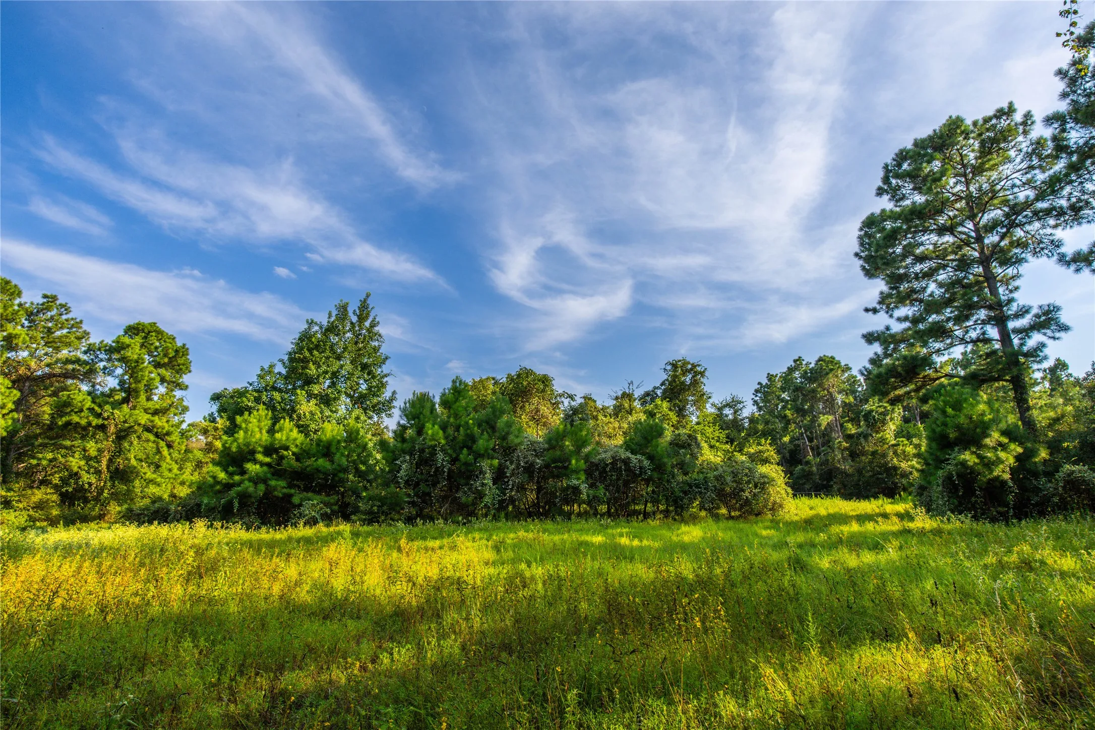Unimproved Land For Sale in Henderson County , Tract 11 County Road 4222, Frankston, Texas 75763, 0, 0, Garage spaces, 0 Sqft, built in 0, Price $925,696, mls#20707851, Real Estate Agent in Frankston, Homes For Sale in Henderson county, Homes For Sale in Frankston, Realtor in Frankston Texas, Real Estate Brokerage Independent Realty Texas, Luminita Cordes Realtor