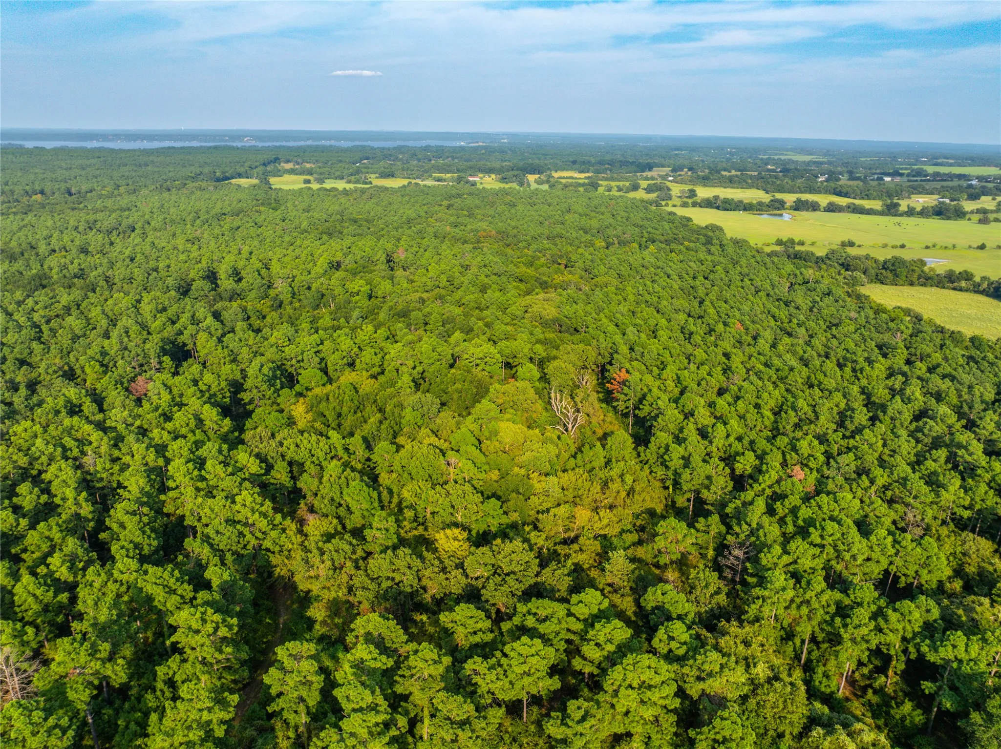 Unimproved Land For Sale in Henderson County , Tract 11 County Road 4222, Frankston, Texas 75763, 0, 0, Garage spaces, 0 Sqft, built in 0, Price $925,696, mls#20707851, Real Estate Agent in Frankston, Homes For Sale in Henderson county, Homes For Sale in Frankston, Realtor in Frankston Texas, Real Estate Brokerage Independent Realty Texas, Luminita Cordes Realtor