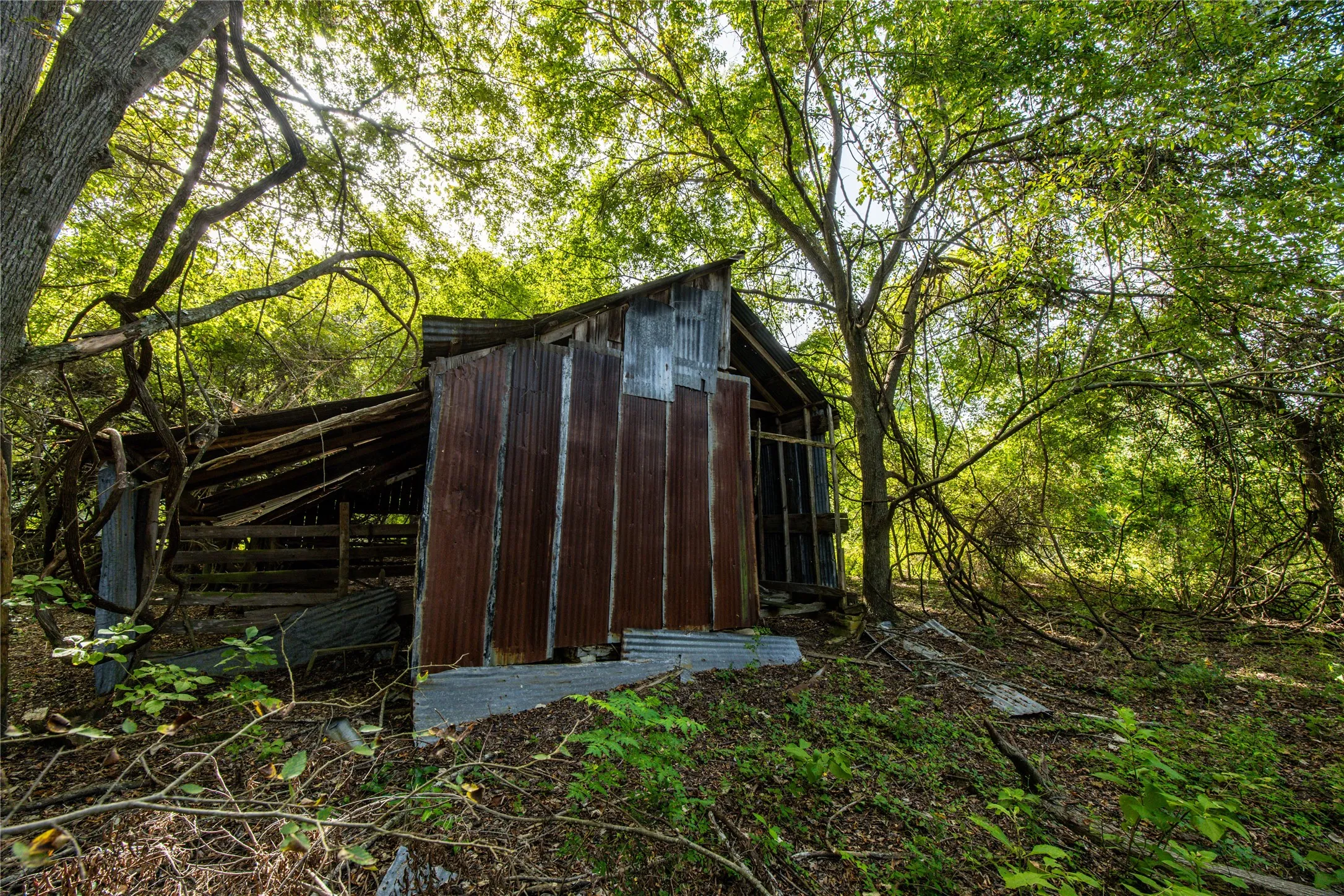 Unimproved Land For Sale in Henderson County , Tract 11 County Road 4222, Frankston, Texas 75763, 0, 0, Garage spaces, 0 Sqft, built in 0, Price $925,696, mls#20707851, Real Estate Agent in Frankston, Homes For Sale in Henderson county, Homes For Sale in Frankston, Realtor in Frankston Texas, Real Estate Brokerage Independent Realty Texas, Luminita Cordes Realtor