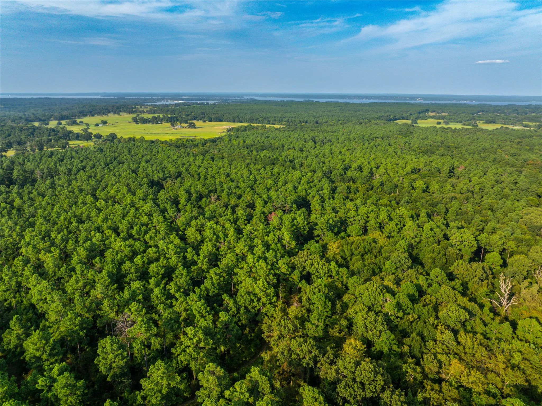 Unimproved Land For Sale in Henderson County , Tract 11 County Road 4222, Frankston, Texas 75763, 0, 0, Garage spaces, 0 Sqft, built in 0, Price $925,696, mls#20707851, Real Estate Agent in Frankston, Homes For Sale in Henderson county, Homes For Sale in Frankston, Realtor in Frankston Texas, Real Estate Brokerage Independent Realty Texas, Luminita Cordes Realtor