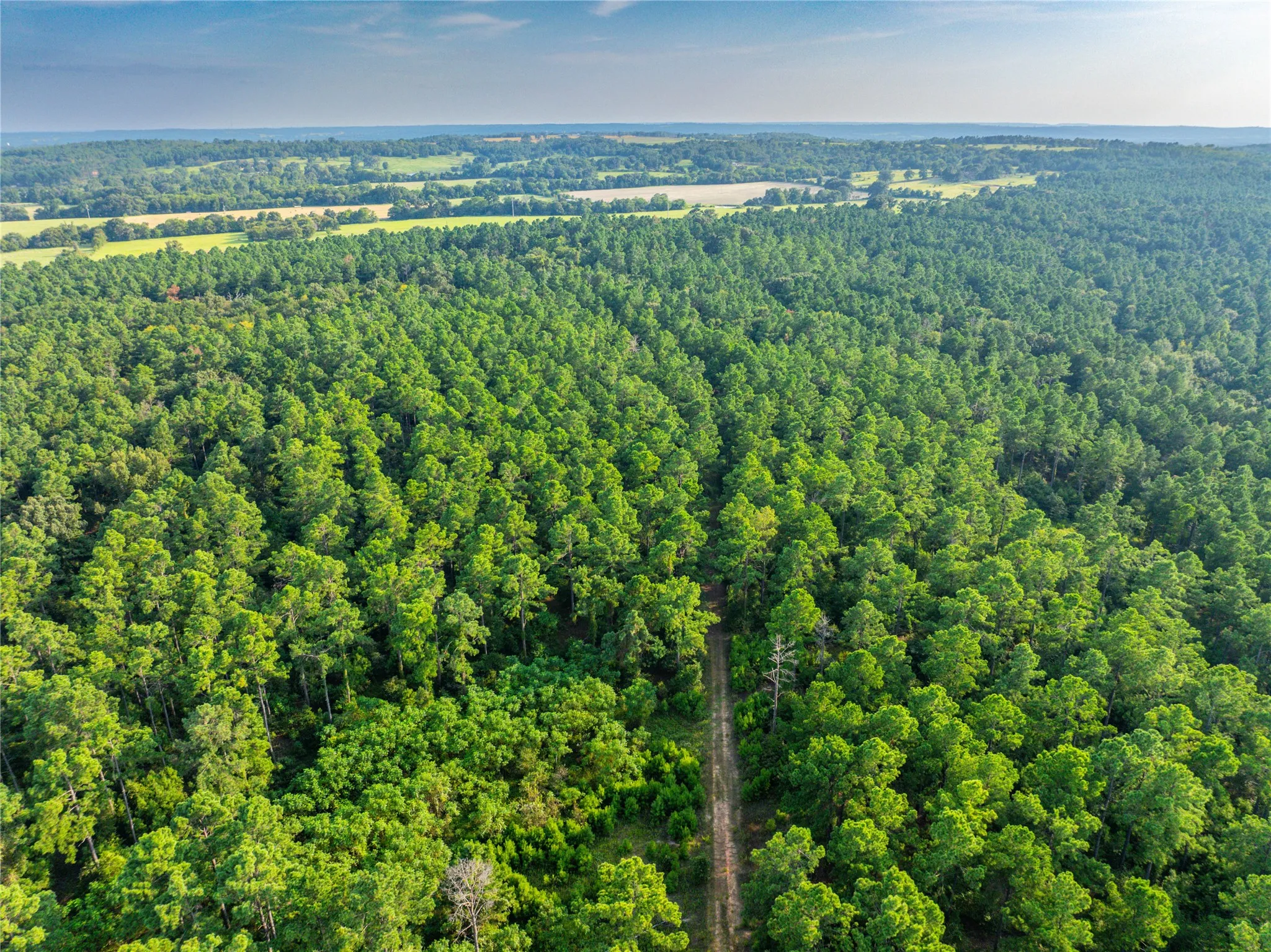 Unimproved Land For Sale in Henderson County , Tract 11 County Road 4222, Frankston, Texas 75763, 0, 0, Garage spaces, 0 Sqft, built in 0, Price $925,696, mls#20707851, Real Estate Agent in Frankston, Homes For Sale in Henderson county, Homes For Sale in Frankston, Realtor in Frankston Texas, Real Estate Brokerage Independent Realty Texas, Luminita Cordes Realtor