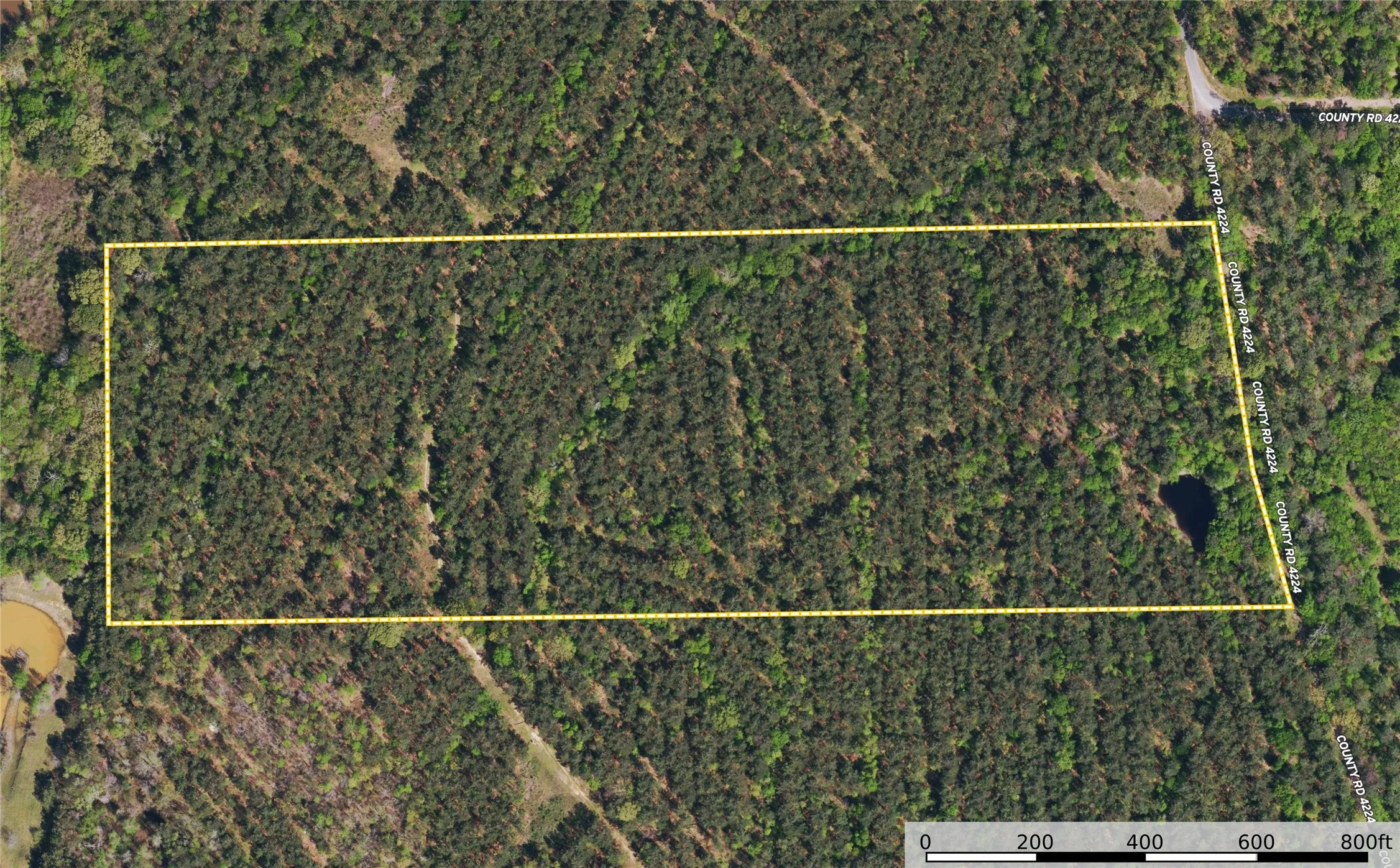 Unimproved Land For Sale in Henderson County , Tract 18 County Road 4224, Frankston, Texas 75763, 0, 0, Garage spaces, 0 Sqft, built in 0, Price $400,000, mls#20708138, Real Estate Agent in Frankston, Homes For Sale in Henderson county, Homes For Sale in Frankston, Realtor in Frankston Texas, Real Estate Brokerage Independent Realty Texas, Luminita Cordes Realtor