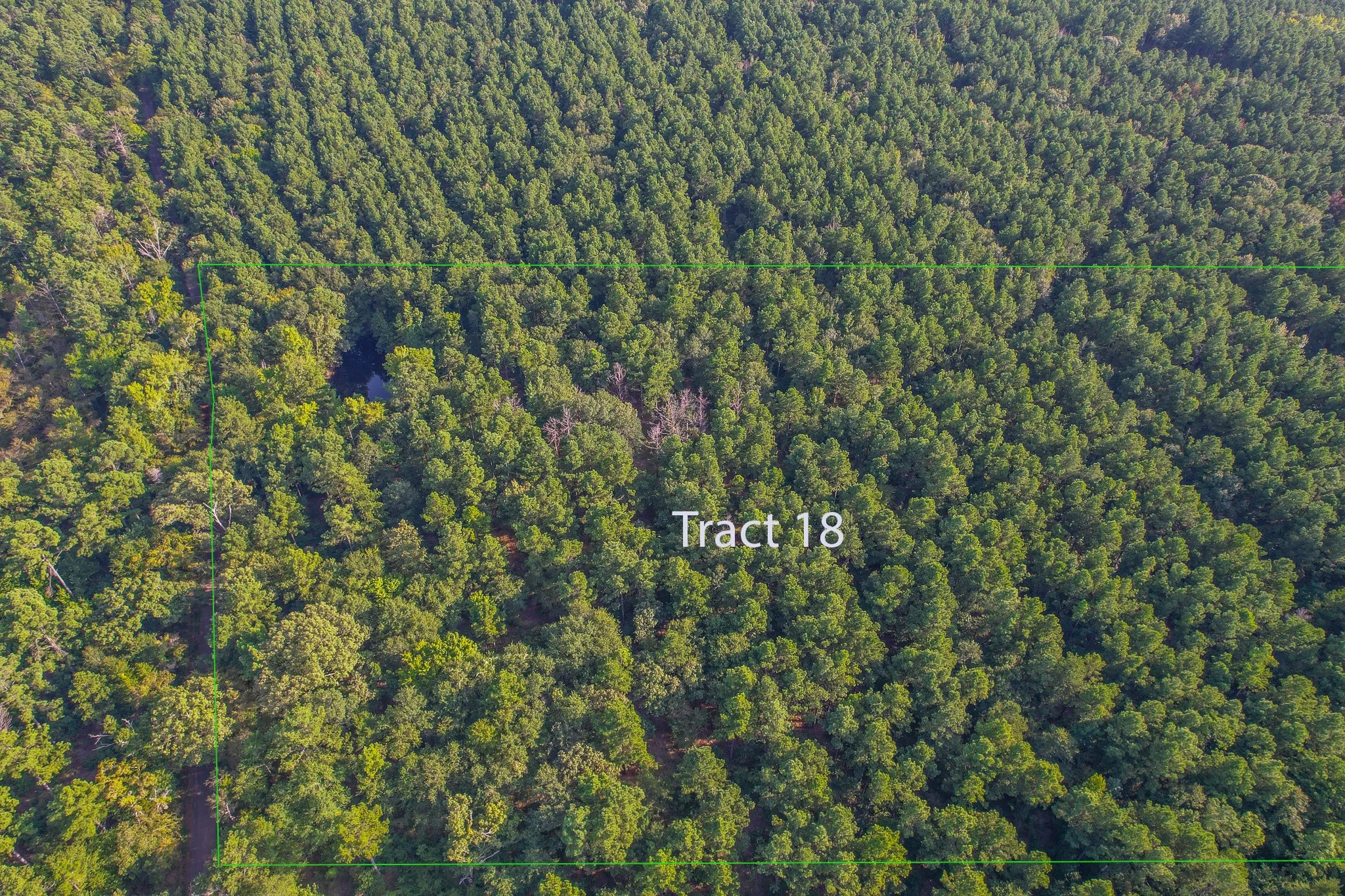 Unimproved Land For Sale in Henderson County , Tract 18 County Road 4224, Frankston, Texas 75763, 0, 0, Garage spaces, 0 Sqft, built in 0, Price $400,000, mls#20708138, Real Estate Agent in Frankston, Homes For Sale in Henderson county, Homes For Sale in Frankston, Realtor in Frankston Texas, Real Estate Brokerage Independent Realty Texas, Luminita Cordes Realtor