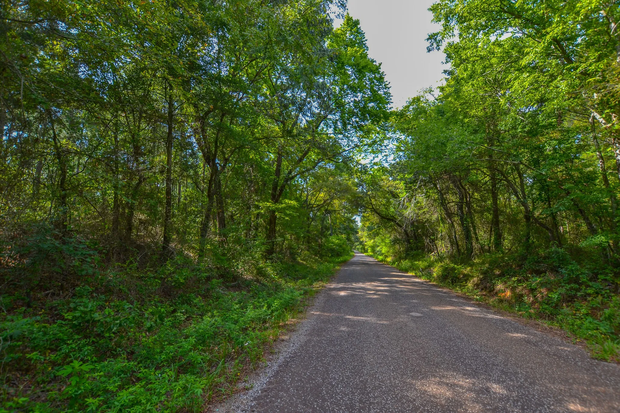 Unimproved Land For Sale in Henderson County , Tract 18 County Road 4224, Frankston, Texas 75763, 0, 0, Garage spaces, 0 Sqft, built in 0, Price $400,000, mls#20708138, Real Estate Agent in Frankston, Homes For Sale in Henderson county, Homes For Sale in Frankston, Realtor in Frankston Texas, Real Estate Brokerage Independent Realty Texas, Luminita Cordes Realtor