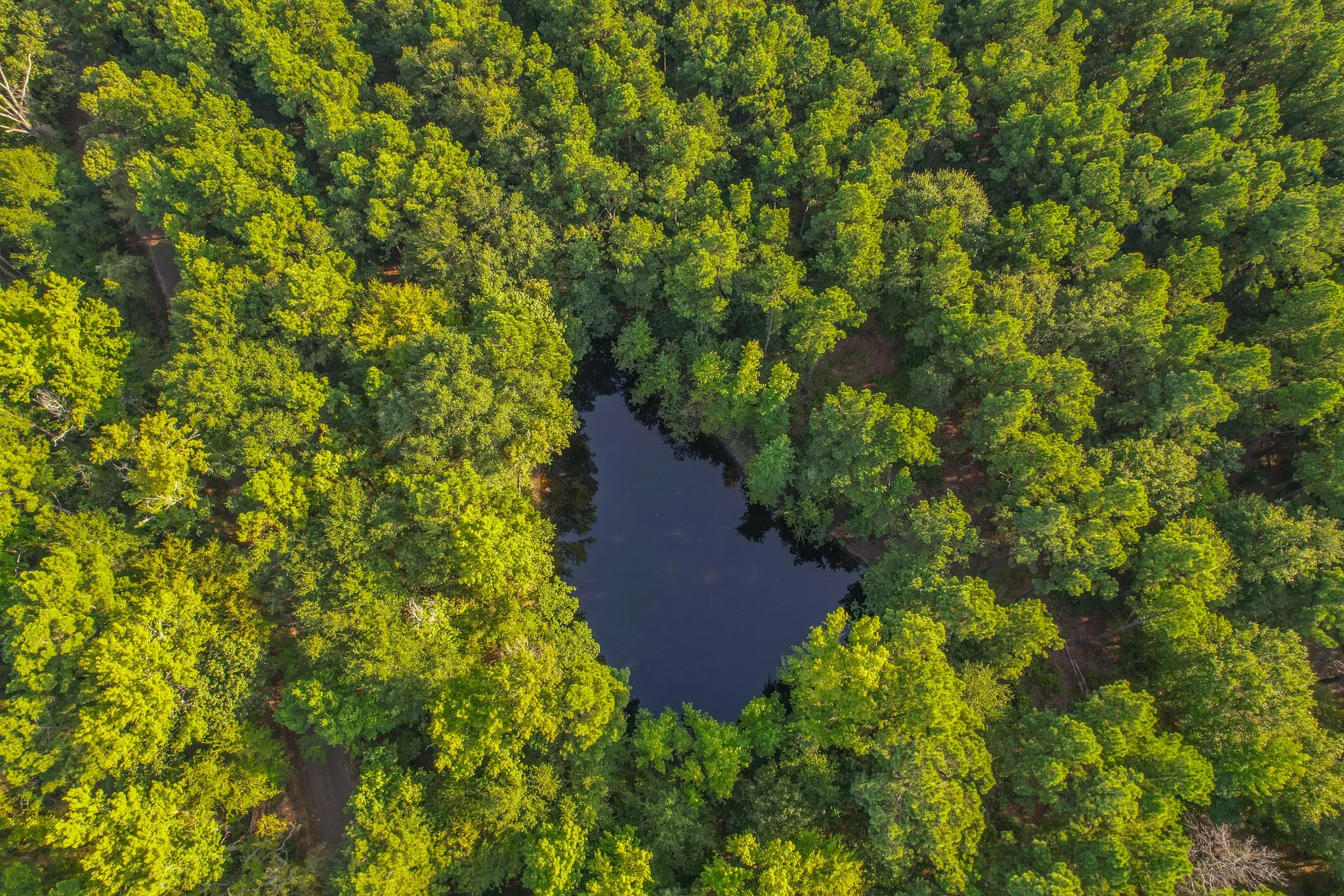 Unimproved Land For Sale in Henderson County , Tract 18 County Road 4224, Frankston, Texas 75763, 0, 0, Garage spaces, 0 Sqft, built in 0, Price $400,000, mls#20708138, Real Estate Agent in Frankston, Homes For Sale in Henderson county, Homes For Sale in Frankston, Realtor in Frankston Texas, Real Estate Brokerage Independent Realty Texas, Luminita Cordes Realtor