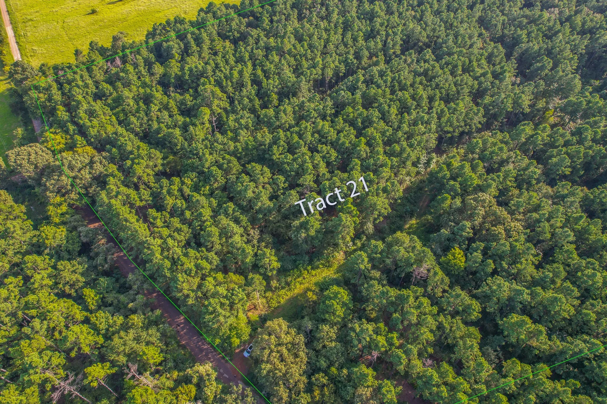 Unimproved Land For Sale in Henderson County , Tract 21 County Road 4224, Frankston, Texas 75763, 0, 0, Garage spaces, 0 Sqft, built in 0, Price $600,000, mls#20708208, Real Estate Agent in Frankston, Homes For Sale in Henderson county, Homes For Sale in Frankston, Realtor in Frankston Texas, Real Estate Brokerage Independent Realty Texas, Luminita Cordes Realtor
