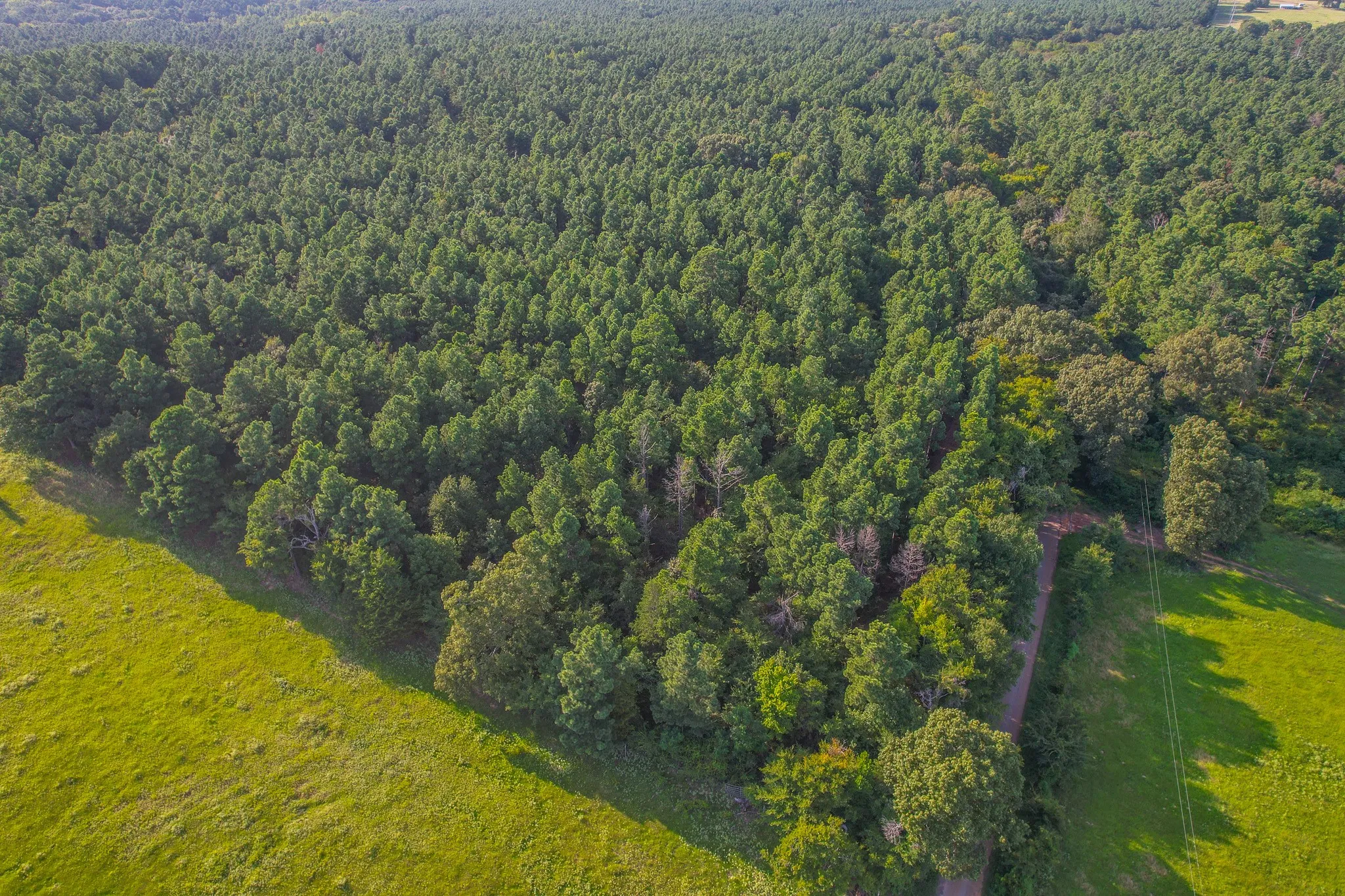 Unimproved Land For Sale in Henderson County , Tract 21 County Road 4224, Frankston, Texas 75763, 0, 0, Garage spaces, 0 Sqft, built in 0, Price $600,000, mls#20708208, Real Estate Agent in Frankston, Homes For Sale in Henderson county, Homes For Sale in Frankston, Realtor in Frankston Texas, Real Estate Brokerage Independent Realty Texas, Luminita Cordes Realtor