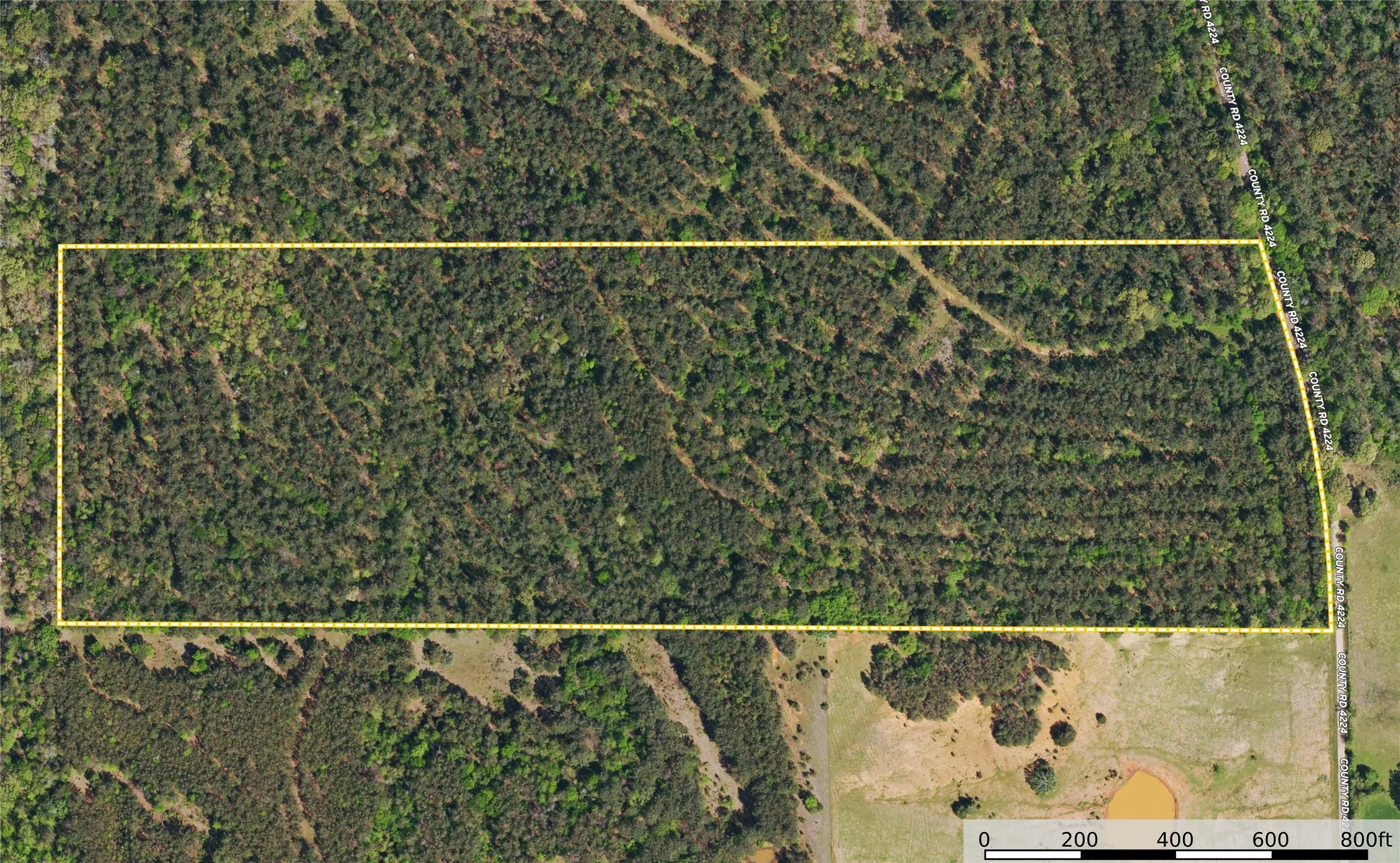 Unimproved Land For Sale in Henderson County , Tract 21 County Road 4224, Frankston, Texas 75763, 0, 0, Garage spaces, 0 Sqft, built in 0, Price $600,000, mls#20708208, Real Estate Agent in Frankston, Homes For Sale in Henderson county, Homes For Sale in Frankston, Realtor in Frankston Texas, Real Estate Brokerage Independent Realty Texas, Luminita Cordes Realtor