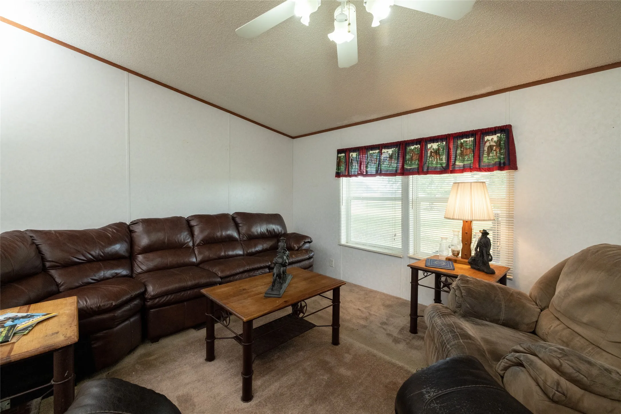 Carpeted living room featuring ceiling fan, ornamental molding, and a textured ceiling