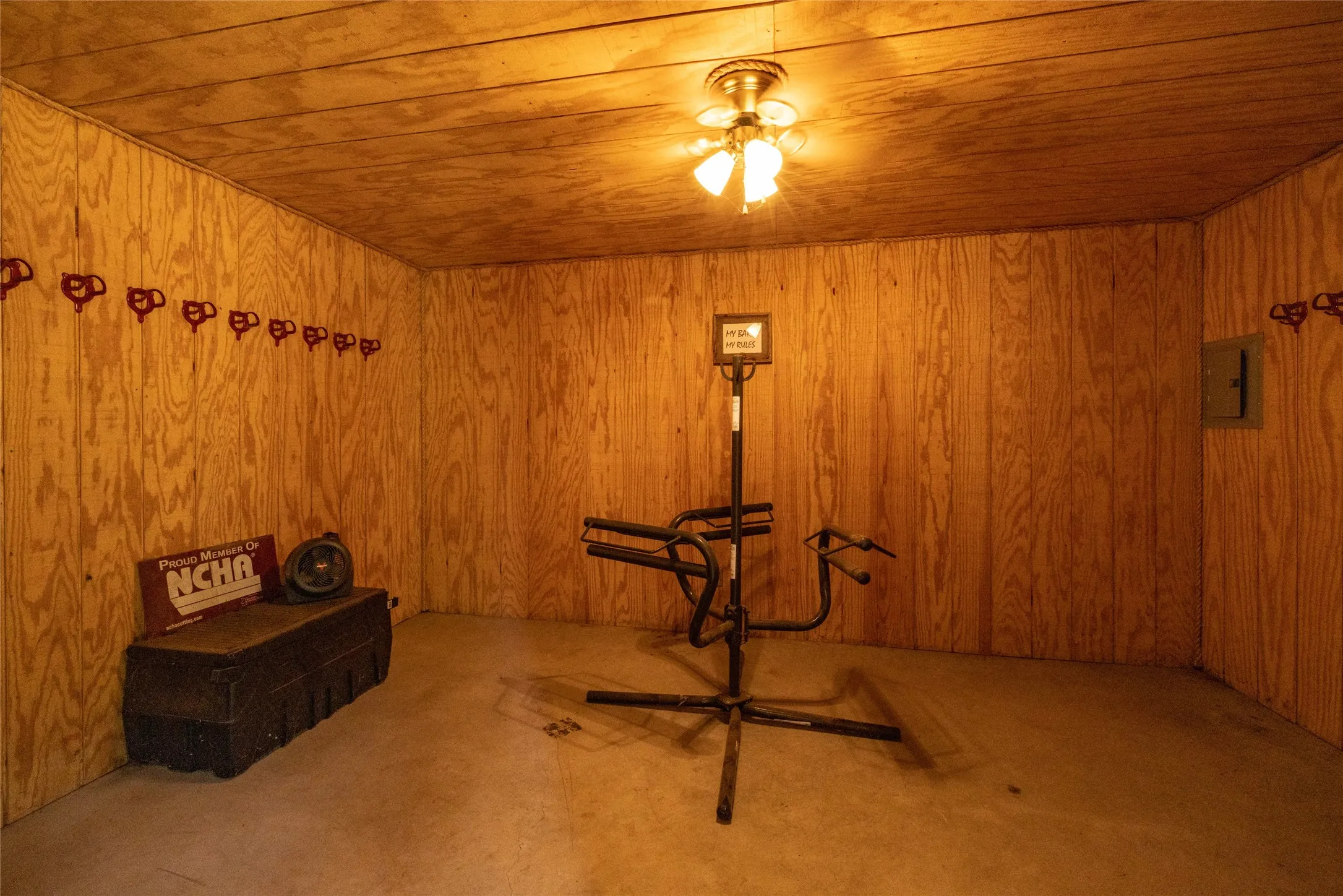 Basement with carpet flooring, wood walls, and wooden ceiling