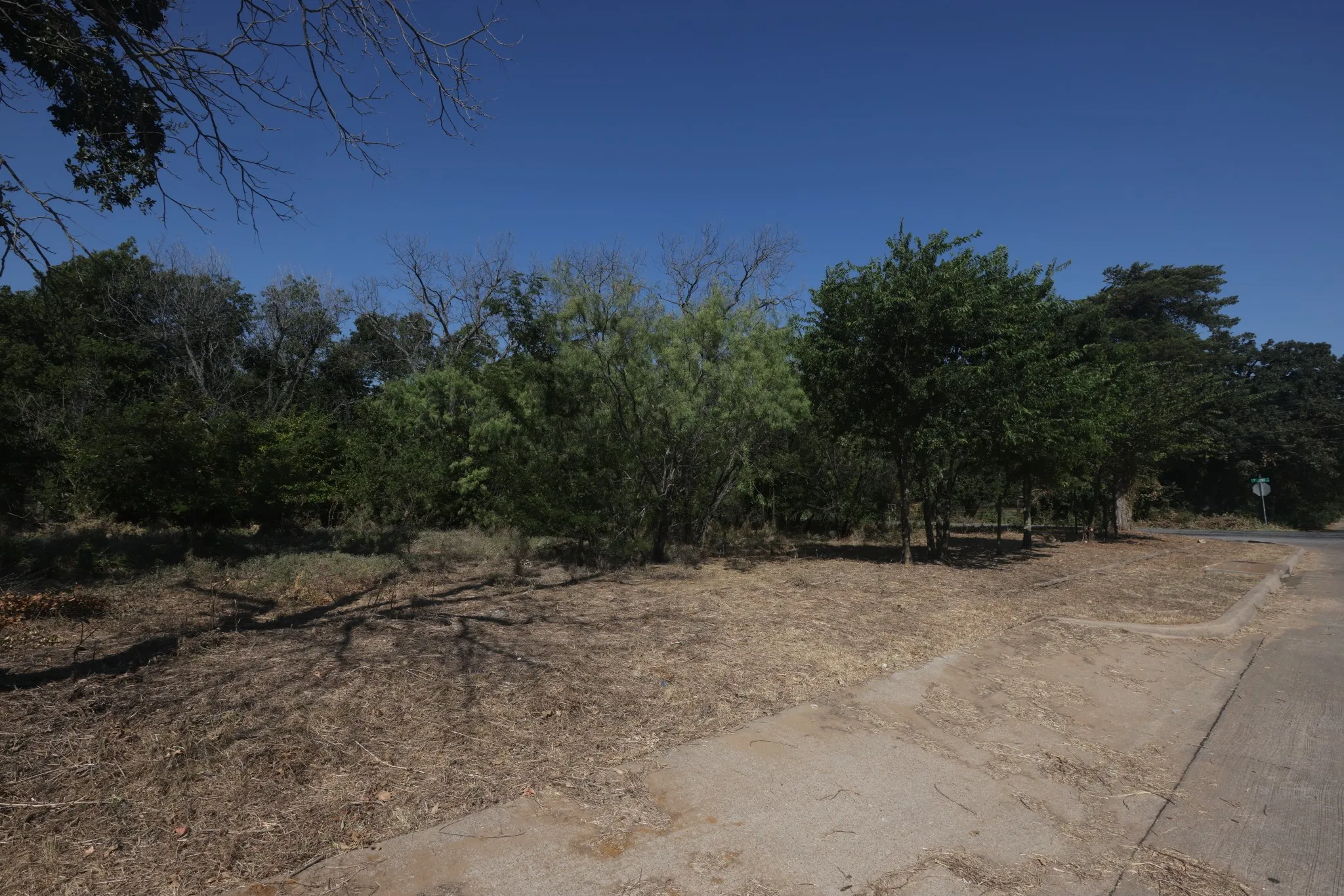 View of local wilderness