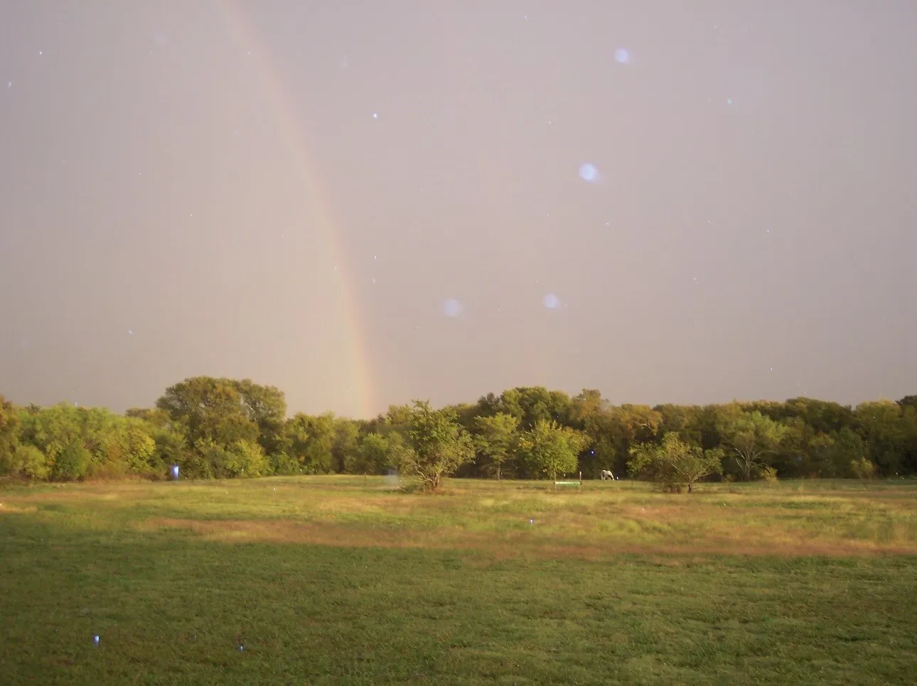 Unimproved Land For Sale in Rockwall County , Lot 2 Munson Road S, Royse City, Texas 75189, 0, 0, Garage spaces, 0 Sqft, built in 0, Price $599,900, mls#20709096, Real Estate Agent in Royse City, Homes For Sale in Rockwall county, Homes For Sale in Royse City, Realtor in Royse City Texas, Real Estate Brokerage Independent Realty Texas, Luminita Cordes Realtor