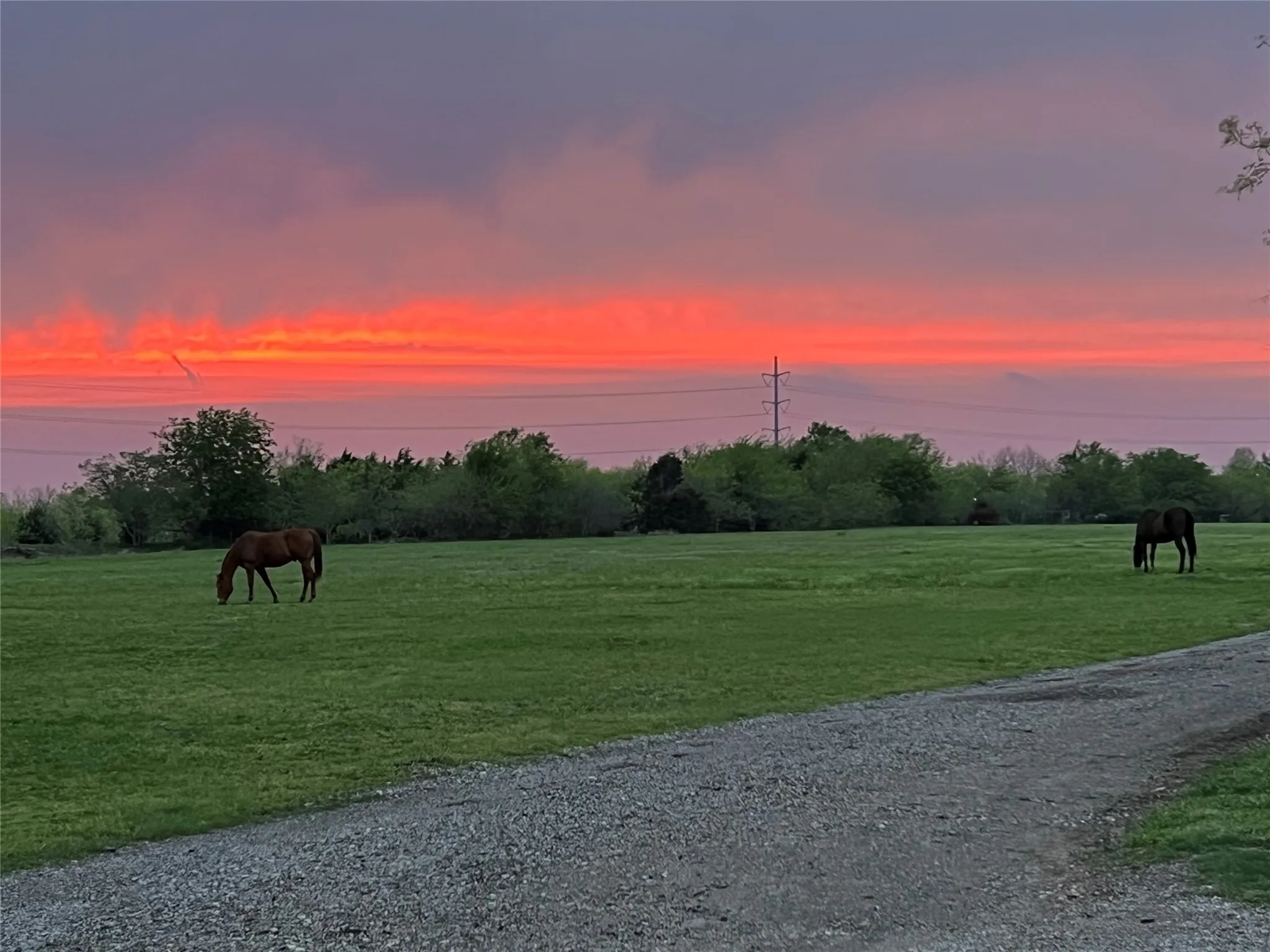 Surrounding community featuring a rural view and a lawn