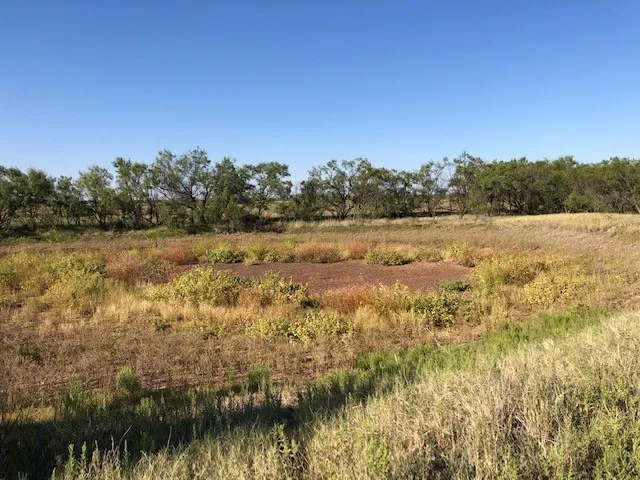 Ranch For Sale in Fisher County , 200 FM 1085, Roby, Texas 79543, 0, 0, Garage spaces, 0 Sqft, built in 0, mls#20709929, Real Estate Agent in Roby, Homes For Sale in Fisher county, Homes For Sale in Roby, Realtor in Roby Texas, Real Estate Brokerage Independent Realty Texas, Luminita Cordes Realtor