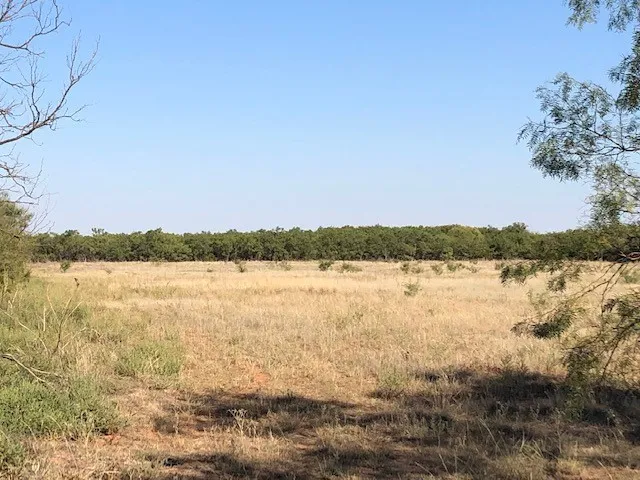 Ranch For Sale in Fisher County , 200 FM 1085, Roby, Texas 79543, 0, 0, Garage spaces, 0 Sqft, built in 0, mls#20709929, Real Estate Agent in Roby, Homes For Sale in Fisher county, Homes For Sale in Roby, Realtor in Roby Texas, Real Estate Brokerage Independent Realty Texas, Luminita Cordes Realtor