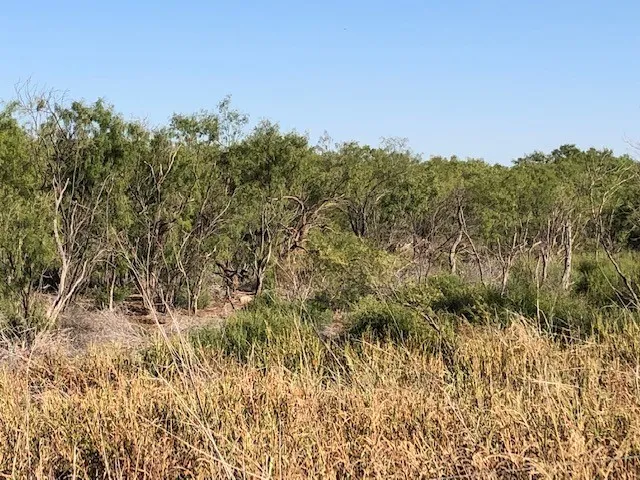 Ranch For Sale in Fisher County , 200 FM 1085, Roby, Texas 79543, 0, 0, Garage spaces, 0 Sqft, built in 0, mls#20709929, Real Estate Agent in Roby, Homes For Sale in Fisher county, Homes For Sale in Roby, Realtor in Roby Texas, Real Estate Brokerage Independent Realty Texas, Luminita Cordes Realtor