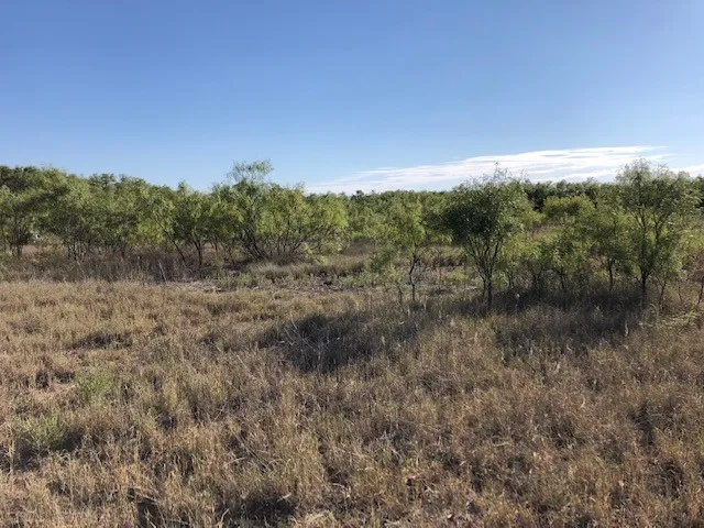 Ranch For Sale in Fisher County , 200 FM 1085, Roby, Texas 79543, 0, 0, Garage spaces, 0 Sqft, built in 0, mls#20709929, Real Estate Agent in Roby, Homes For Sale in Fisher county, Homes For Sale in Roby, Realtor in Roby Texas, Real Estate Brokerage Independent Realty Texas, Luminita Cordes Realtor
