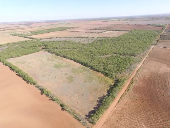 Ranch For Sale in Fisher County , 200 FM 1085, Roby, Texas 79543, 0, 0, Garage spaces, 0 Sqft, built in 0, mls#20709929, Real Estate Agent in Roby, Homes For Sale in Fisher county, Homes For Sale in Roby, Realtor in Roby Texas, Real Estate Brokerage Independent Realty Texas, Luminita Cordes Realtor