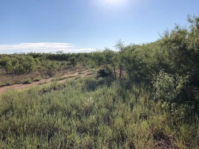 Ranch For Sale in Fisher County , 200 FM 1085, Roby, Texas 79543, 0, 0, Garage spaces, 0 Sqft, built in 0, mls#20709929, Real Estate Agent in Roby, Homes For Sale in Fisher county, Homes For Sale in Roby, Realtor in Roby Texas, Real Estate Brokerage Independent Realty Texas, Luminita Cordes Realtor