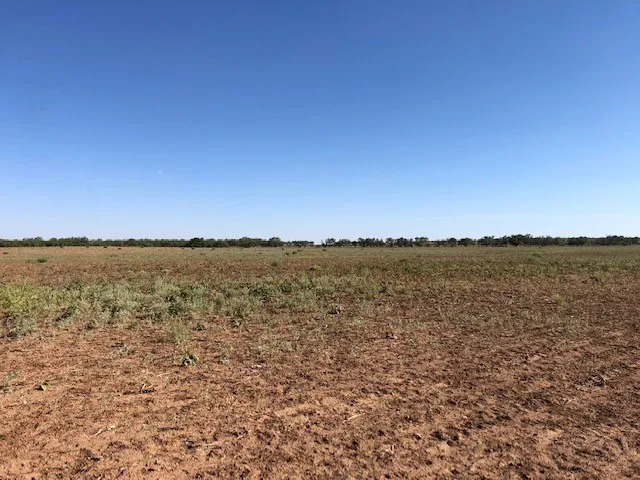 Ranch For Sale in Fisher County , 200 FM 1085, Roby, Texas 79543, 0, 0, Garage spaces, 0 Sqft, built in 0, mls#20709929, Real Estate Agent in Roby, Homes For Sale in Fisher county, Homes For Sale in Roby, Realtor in Roby Texas, Real Estate Brokerage Independent Realty Texas, Luminita Cordes Realtor