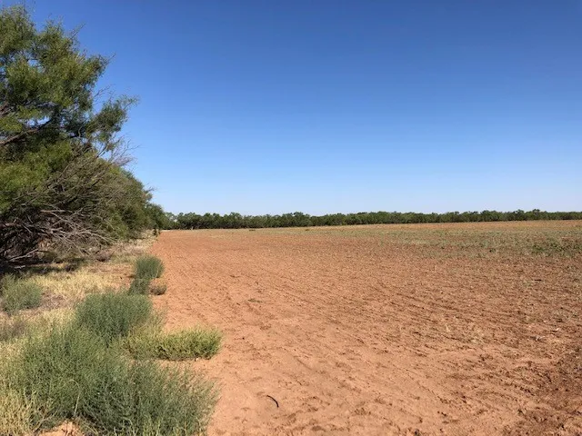 Ranch For Sale in Fisher County , 200 FM 1085, Roby, Texas 79543, 0, 0, Garage spaces, 0 Sqft, built in 0, mls#20709929, Real Estate Agent in Roby, Homes For Sale in Fisher county, Homes For Sale in Roby, Realtor in Roby Texas, Real Estate Brokerage Independent Realty Texas, Luminita Cordes Realtor