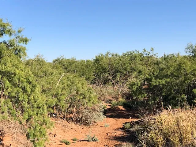 Ranch For Sale in Fisher County , 200 FM 1085, Roby, Texas 79543, 0, 0, Garage spaces, 0 Sqft, built in 0, mls#20709929, Real Estate Agent in Roby, Homes For Sale in Fisher county, Homes For Sale in Roby, Realtor in Roby Texas, Real Estate Brokerage Independent Realty Texas, Luminita Cordes Realtor